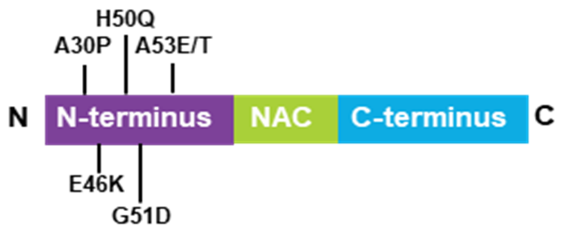 Biomedicines 09 00560 g001