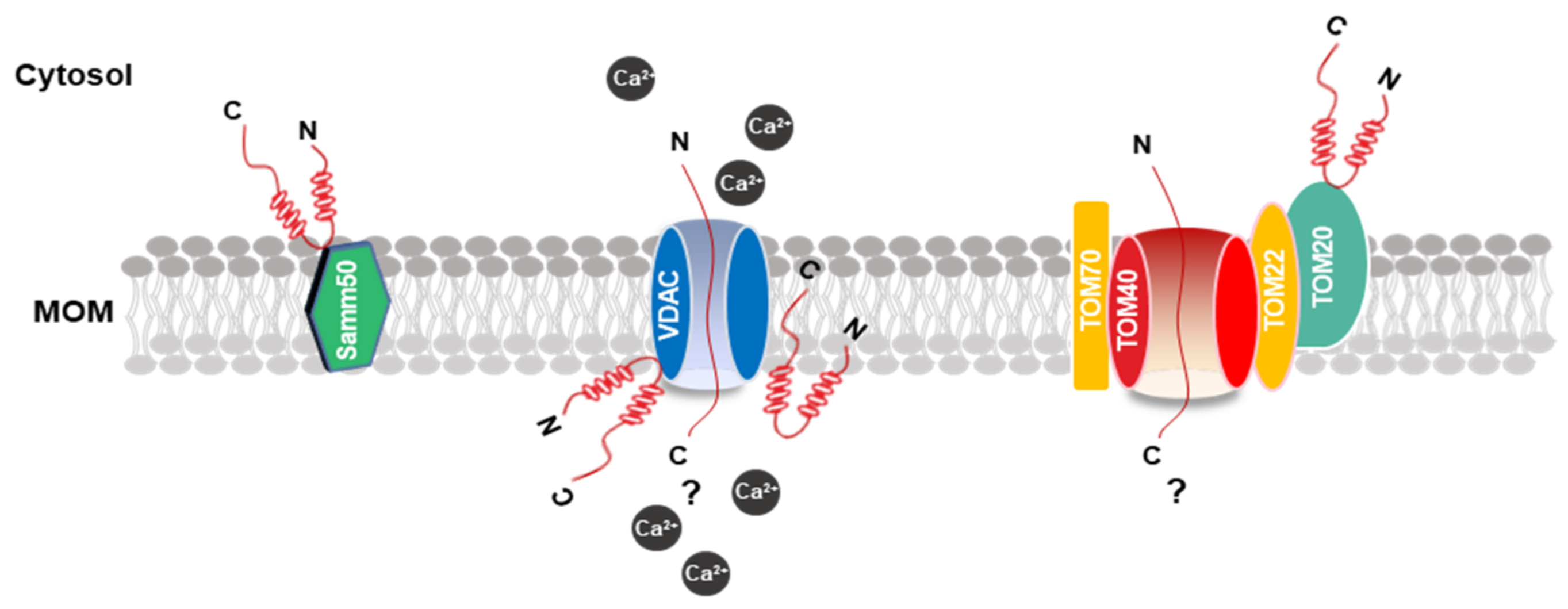 Biomedicines 09 00560 g002