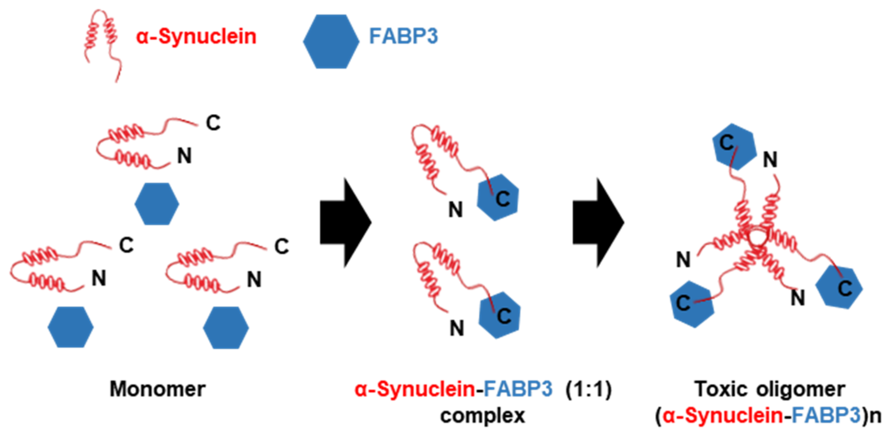 Biomedicines 09 00560 g003