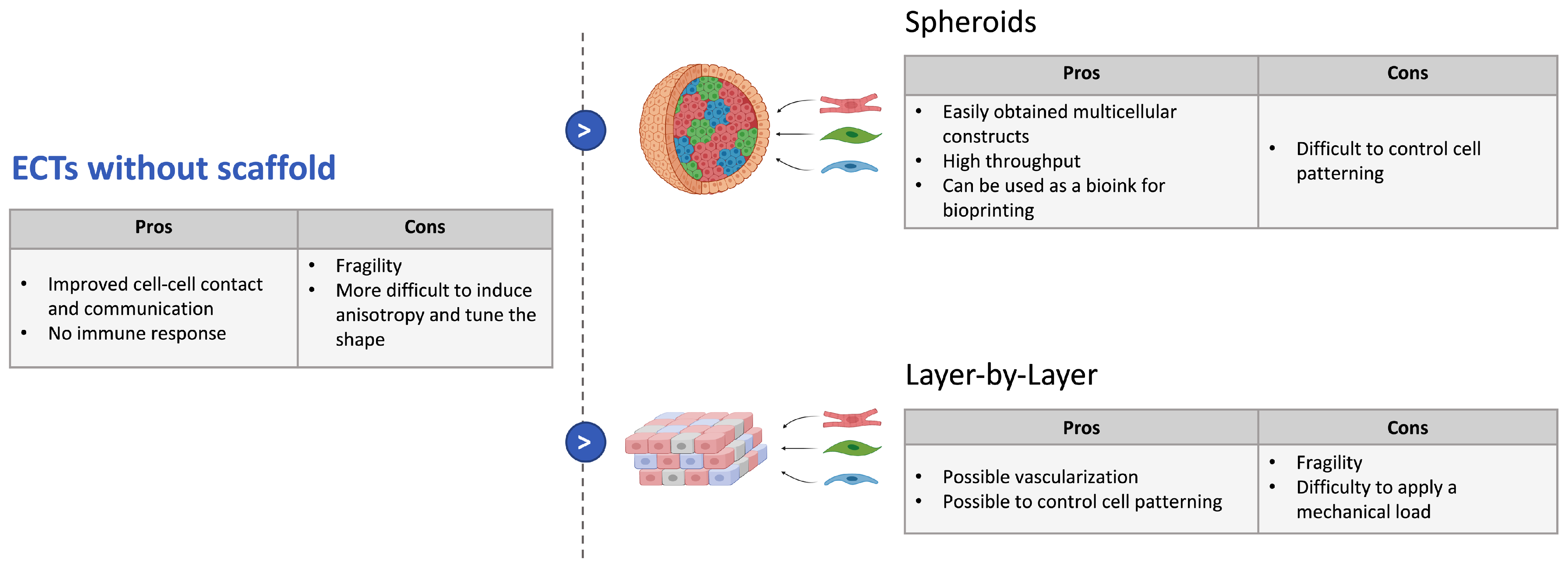 Biomedicines 09 00563 g001