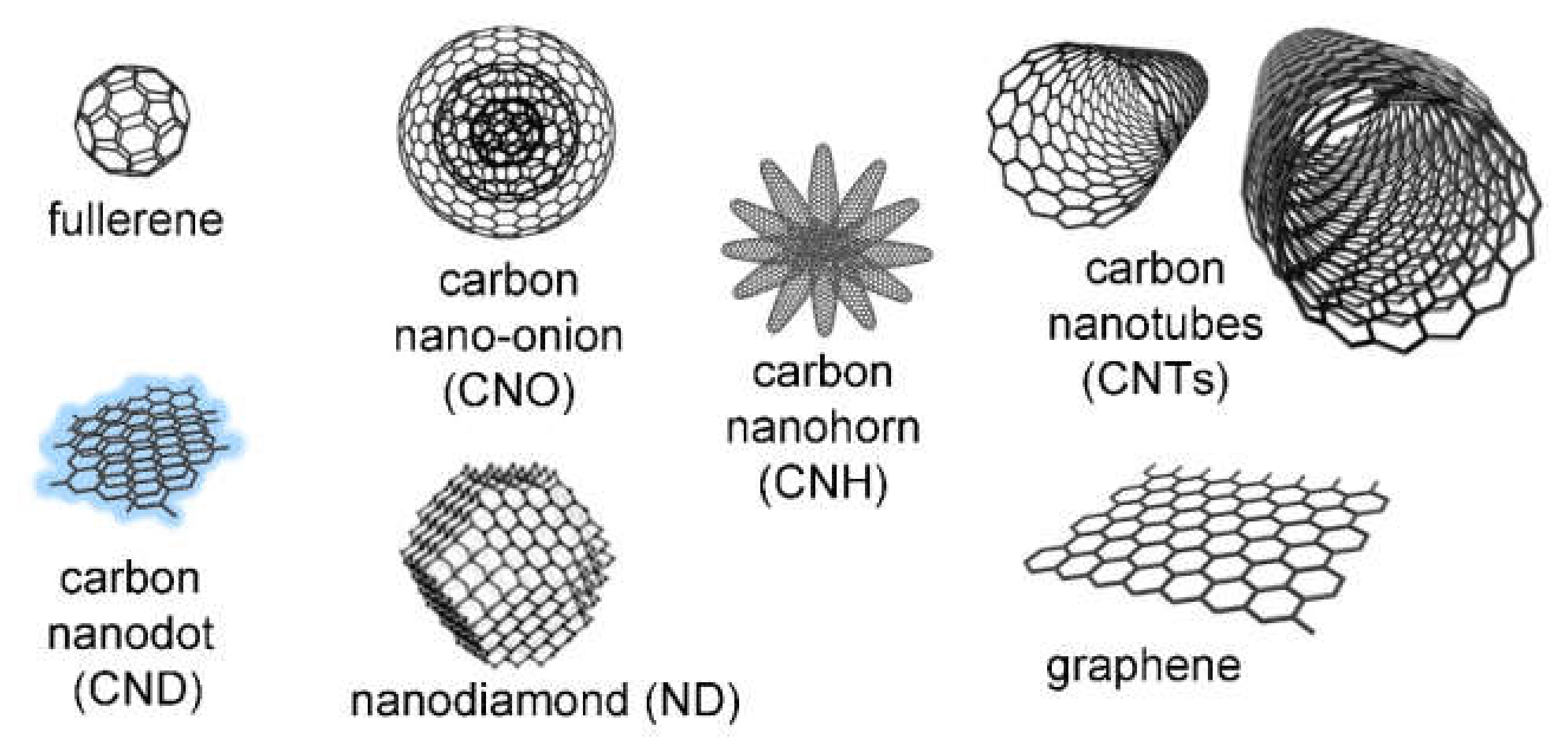 Biomedicines 09 00570 g001