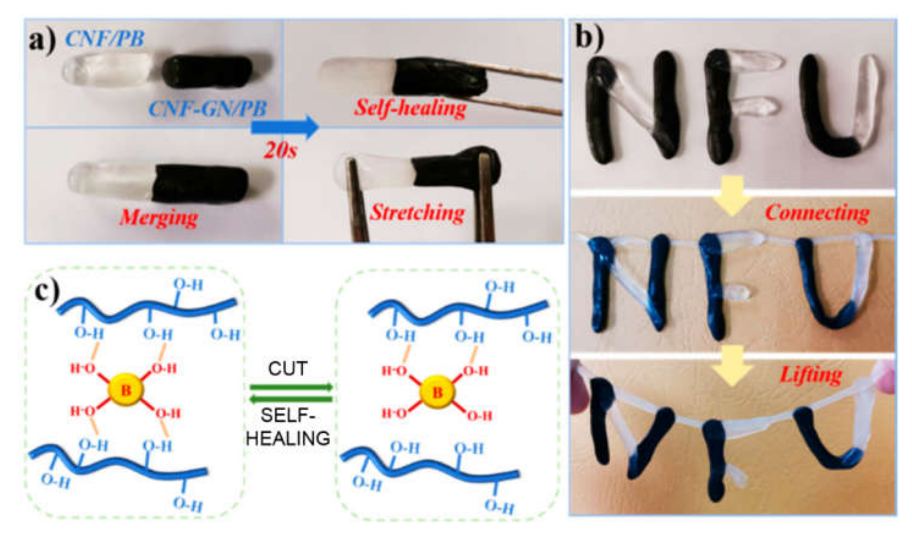 Biomedicines 09 00570 g003