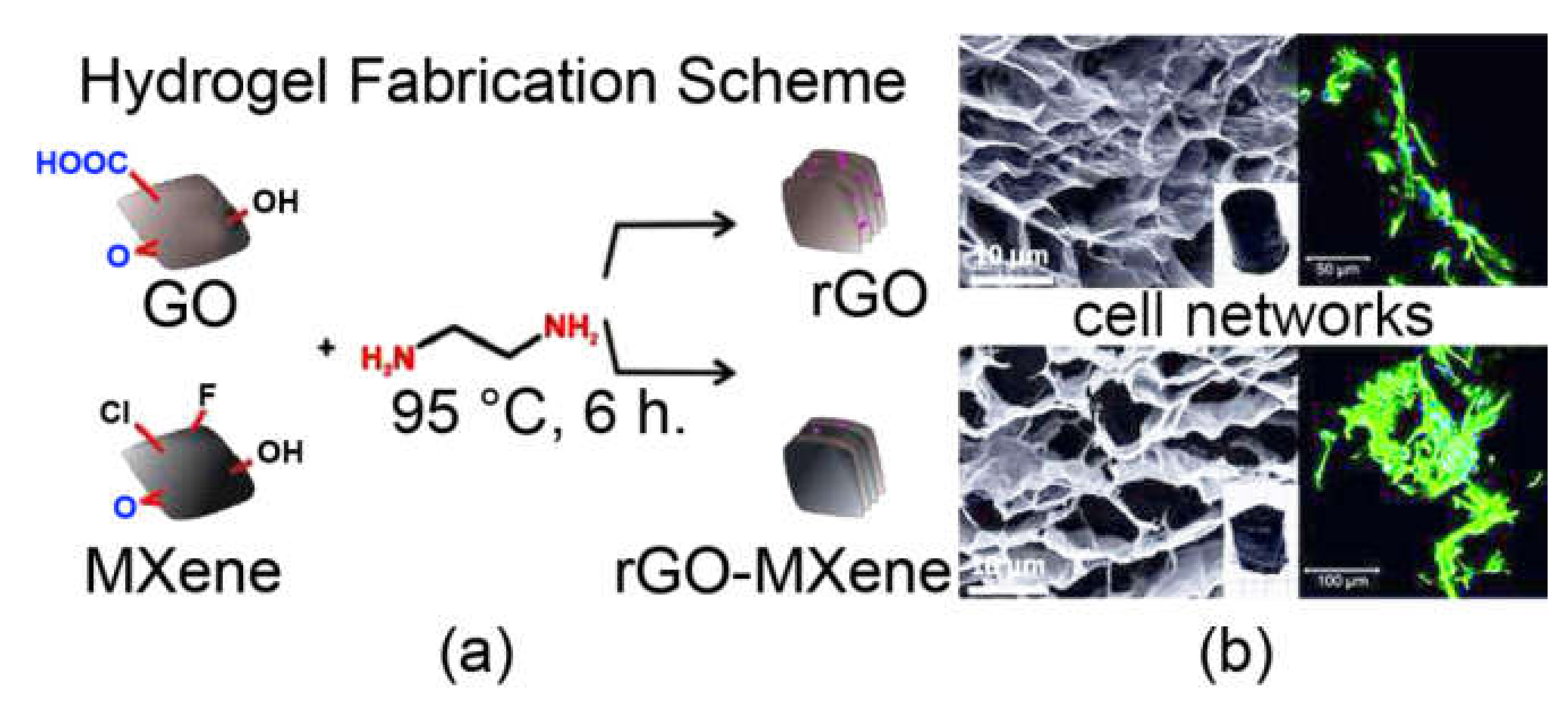 Biomedicines 09 00570 g004