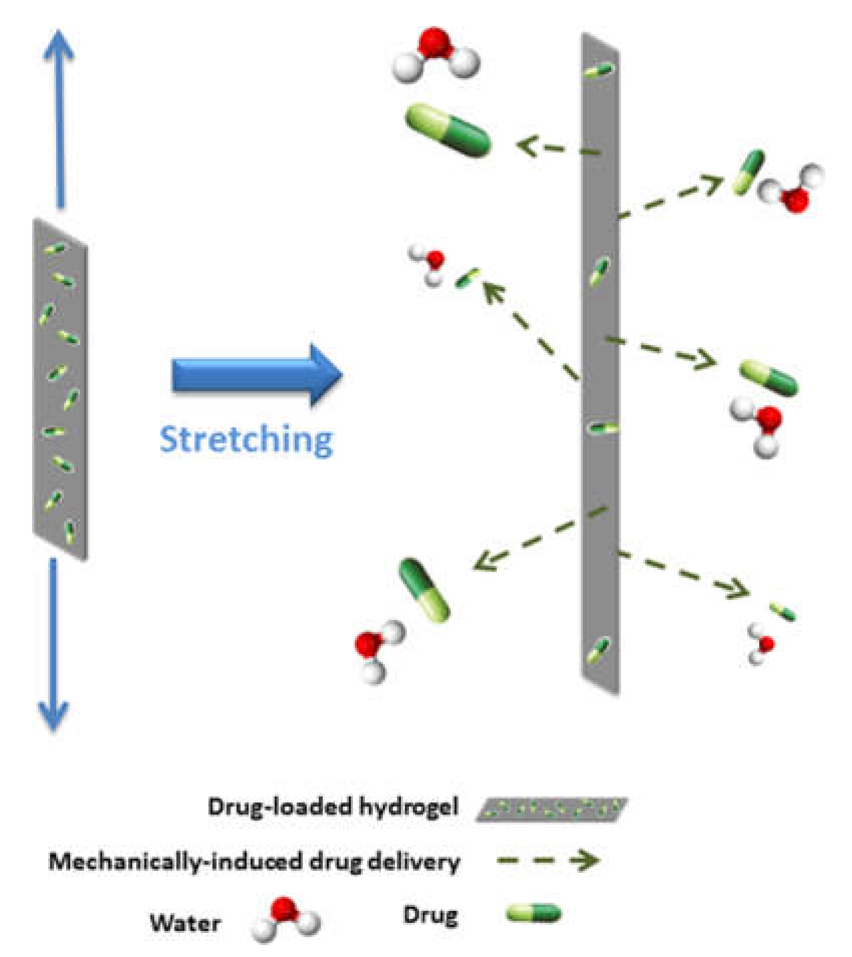 Biomedicines 09 00570 g005
