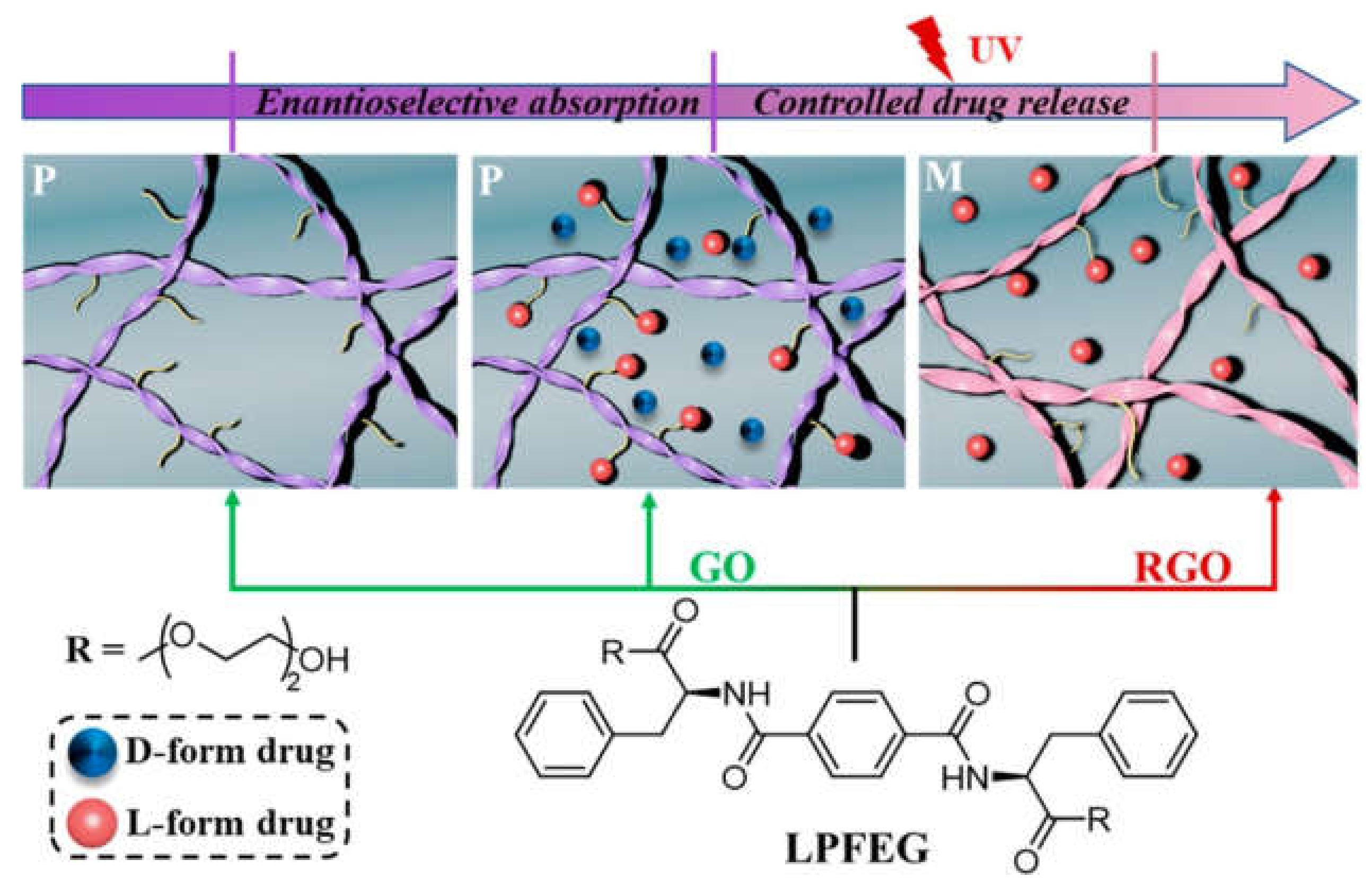 Biomedicines 09 00570 g006