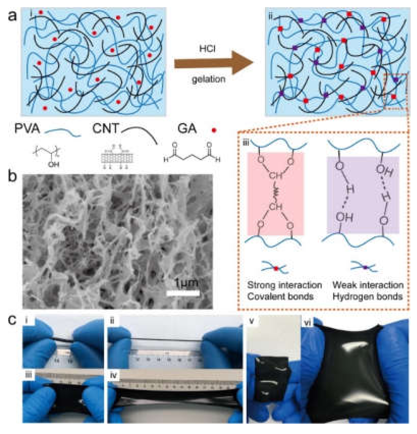 Biomedicines 09 00570 g007