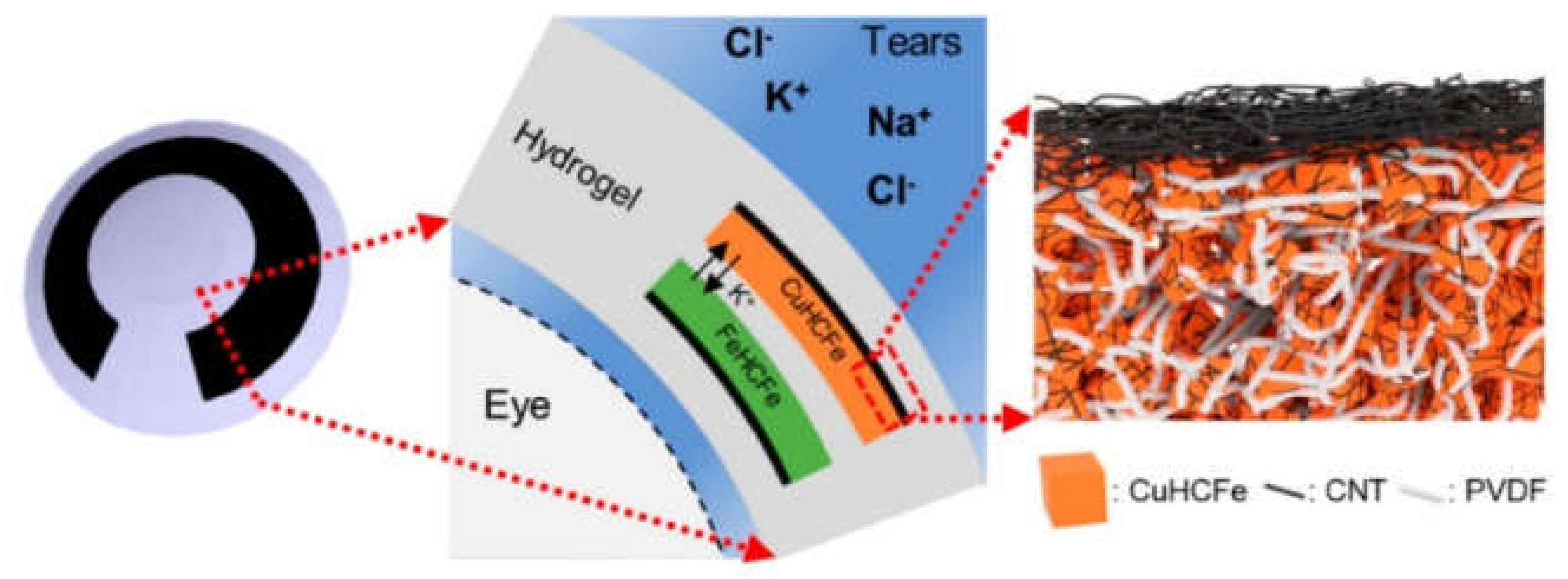 Biomedicines 09 00570 g008