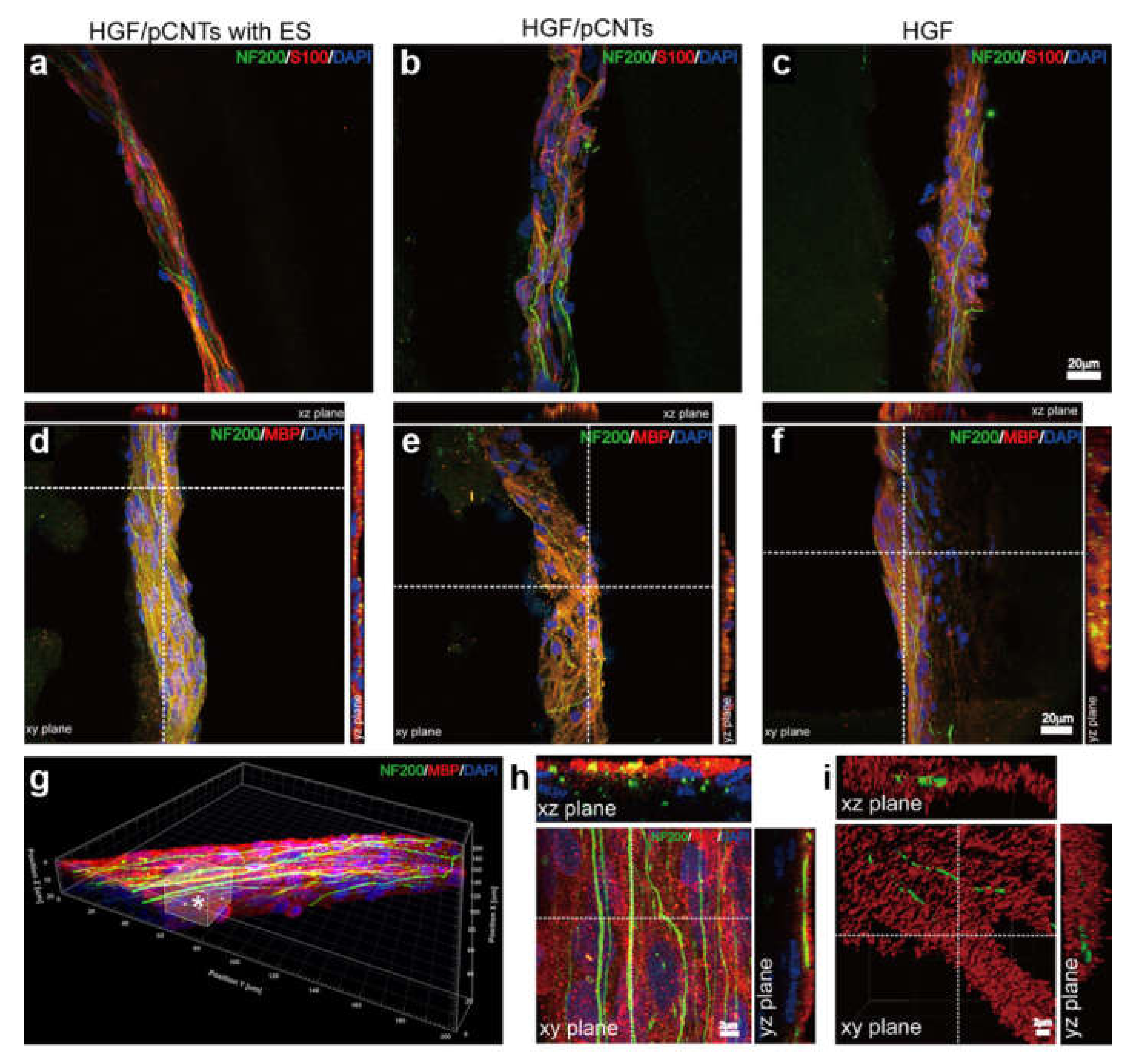 Biomedicines 09 00570 g009