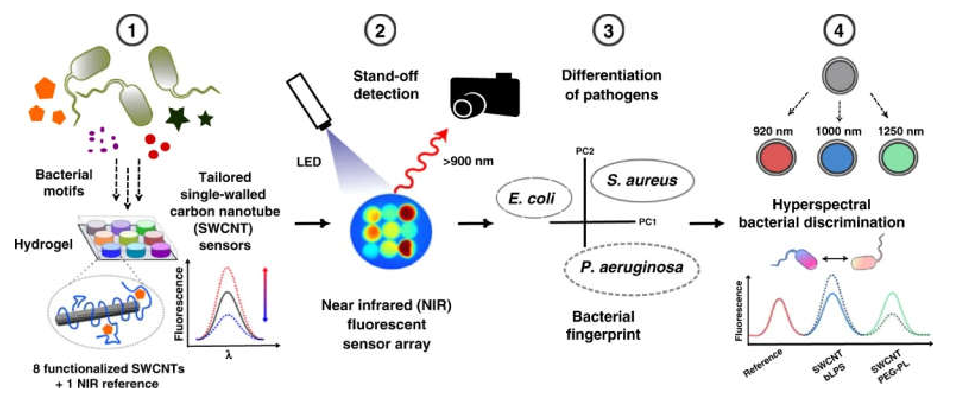 Biomedicines 09 00570 g010