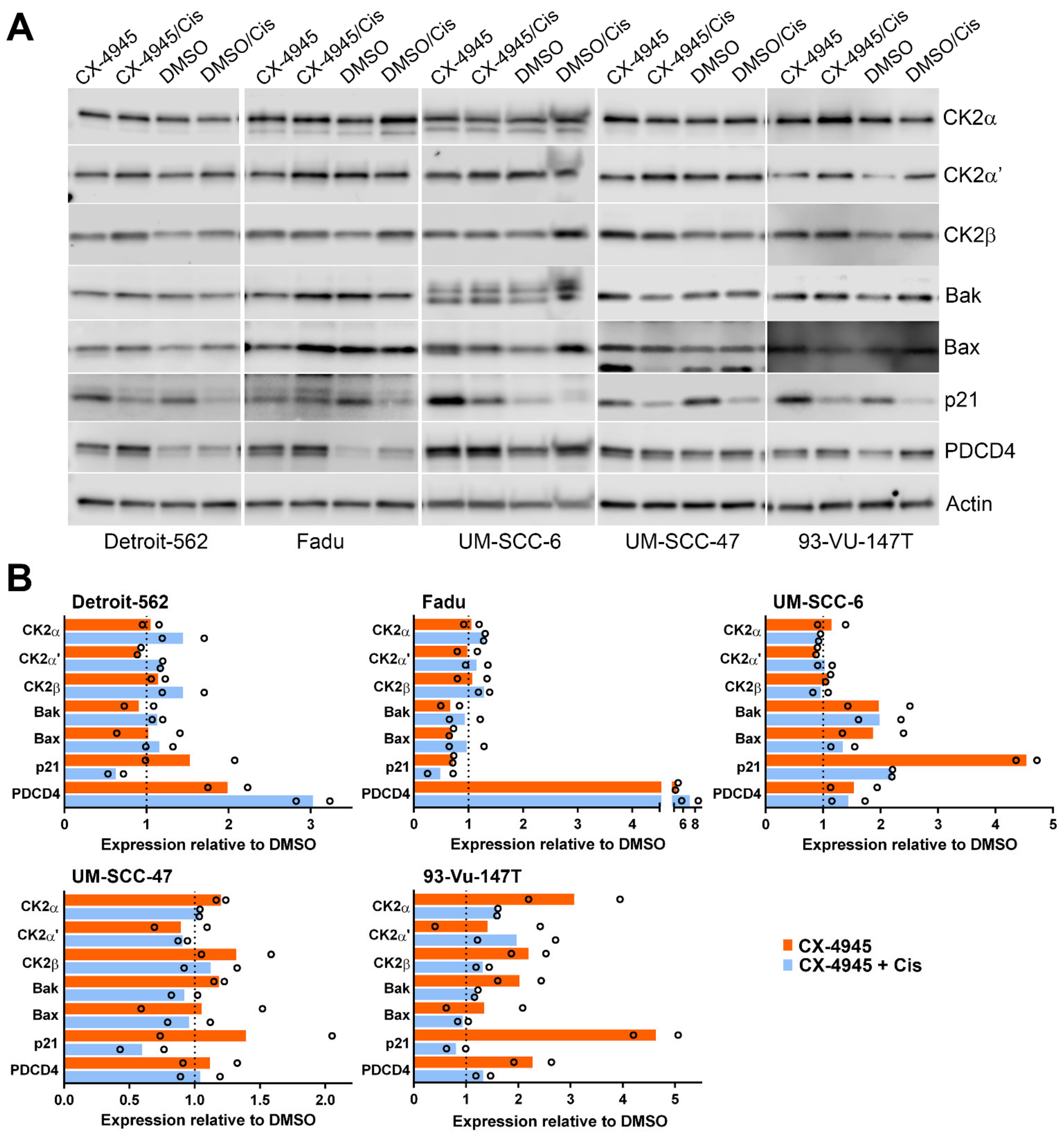 Biomedicines 09 00571 g003