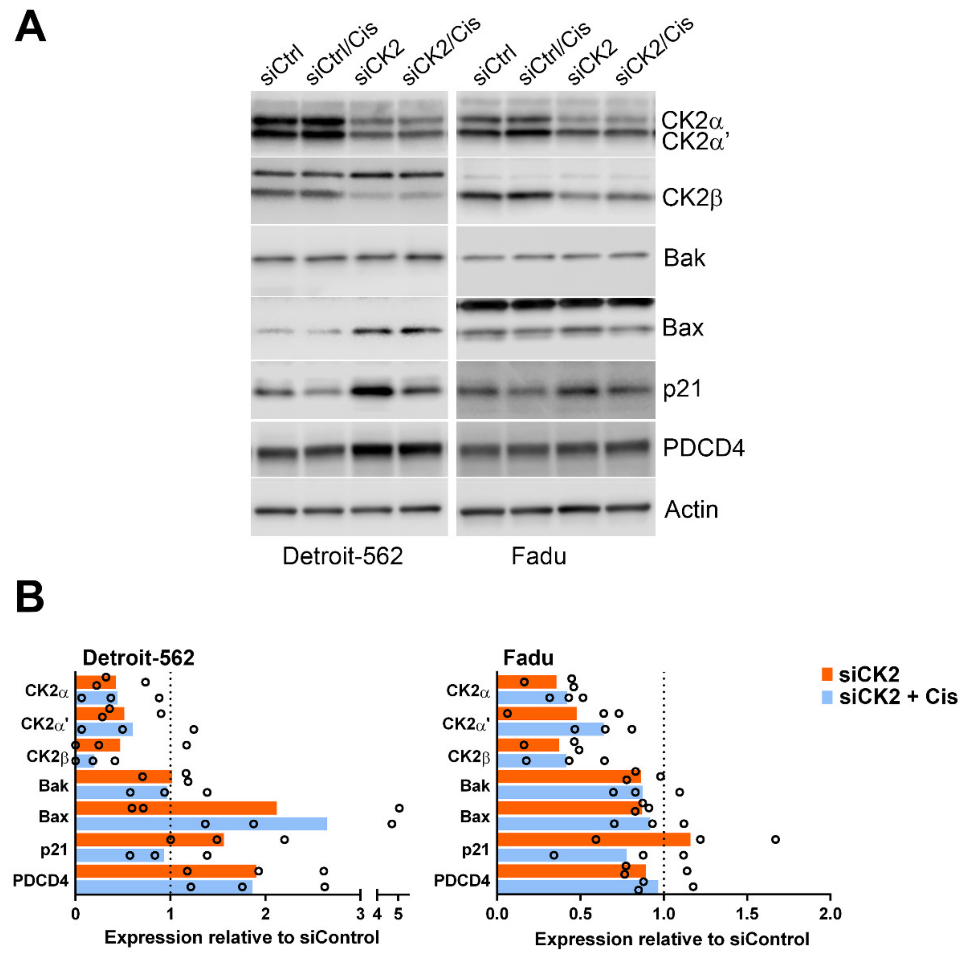 Biomedicines 09 00571 g004