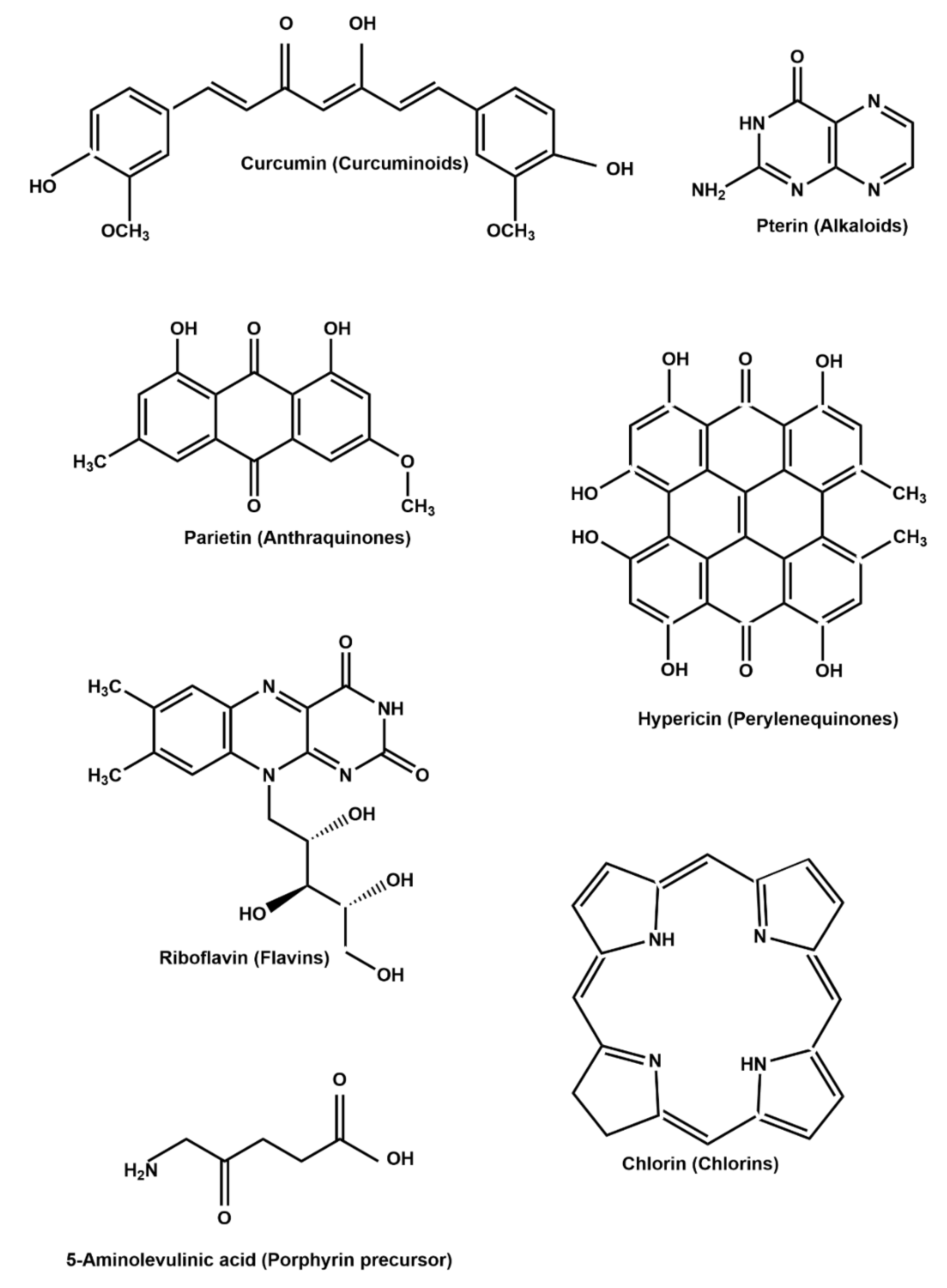 Biomedicines 09 00584 g003