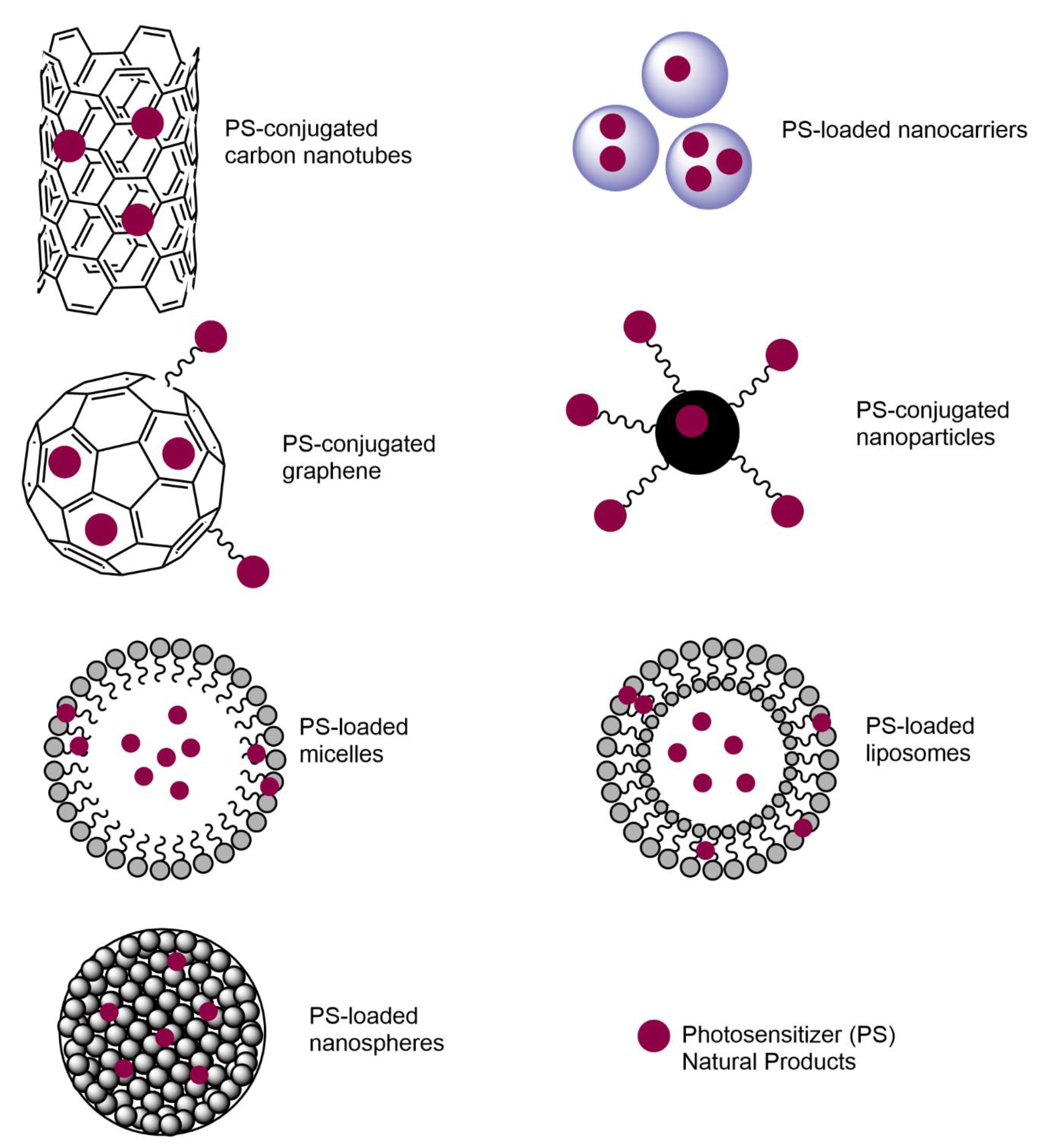 Biomedicines 09 00584 g004