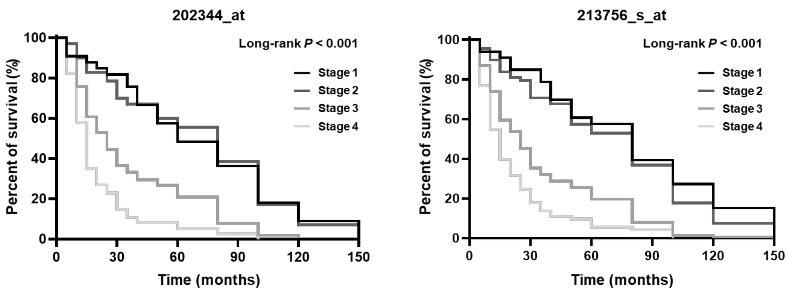 Biomedicines 09 00586 g001
