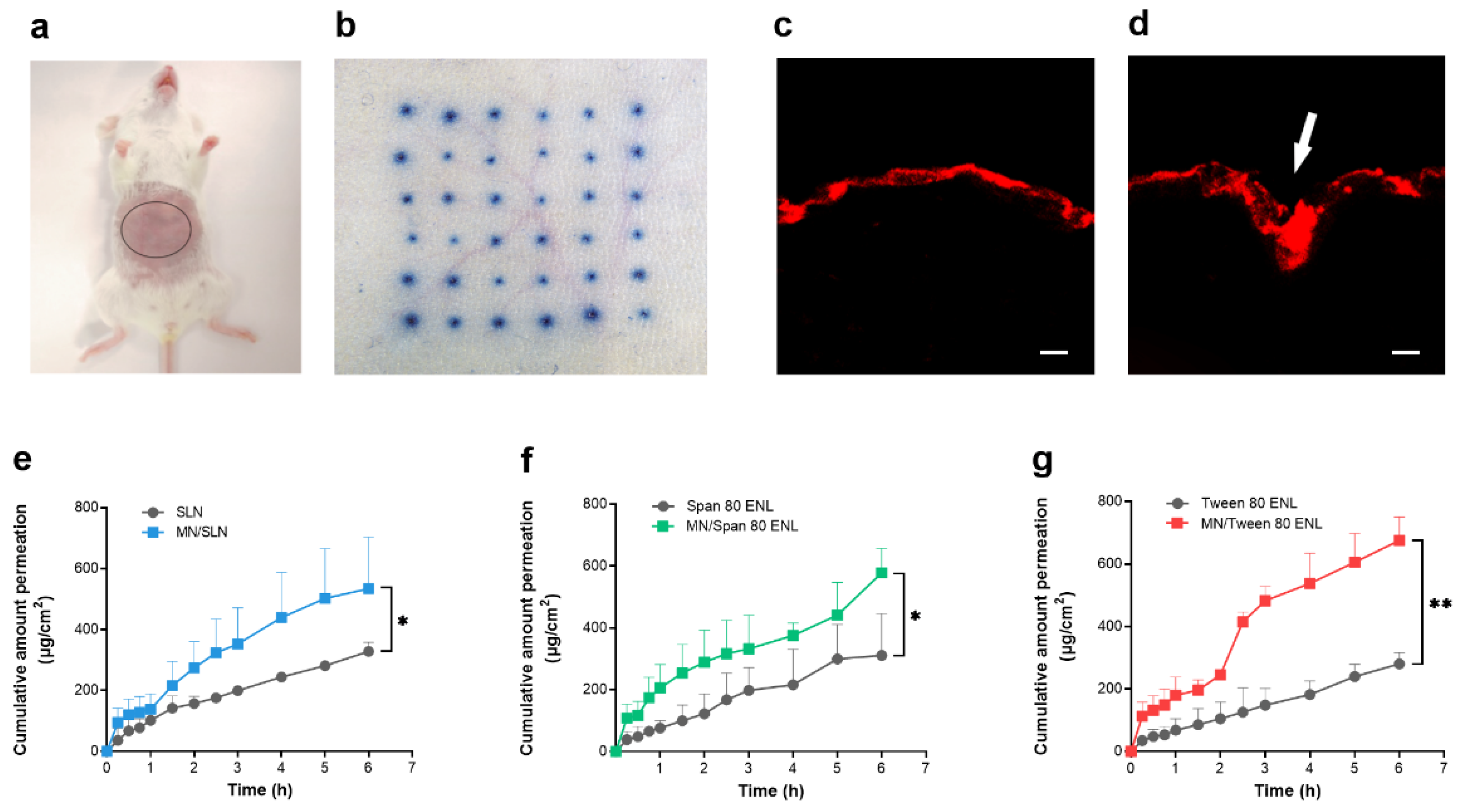 Biomedicines 09 00592 g004