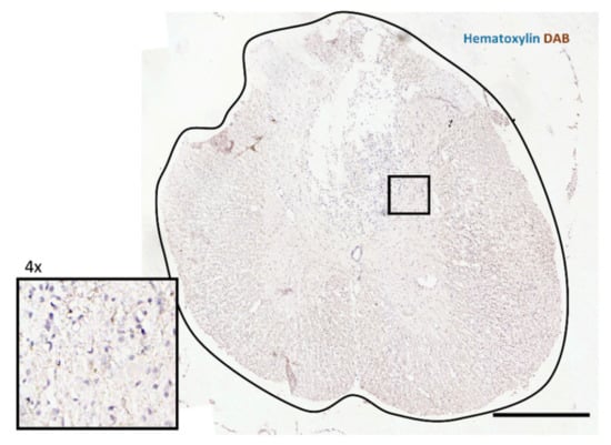 Biomedicines 09 00593 g0a1