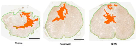 Biomedicines 09 00593 g0a2
