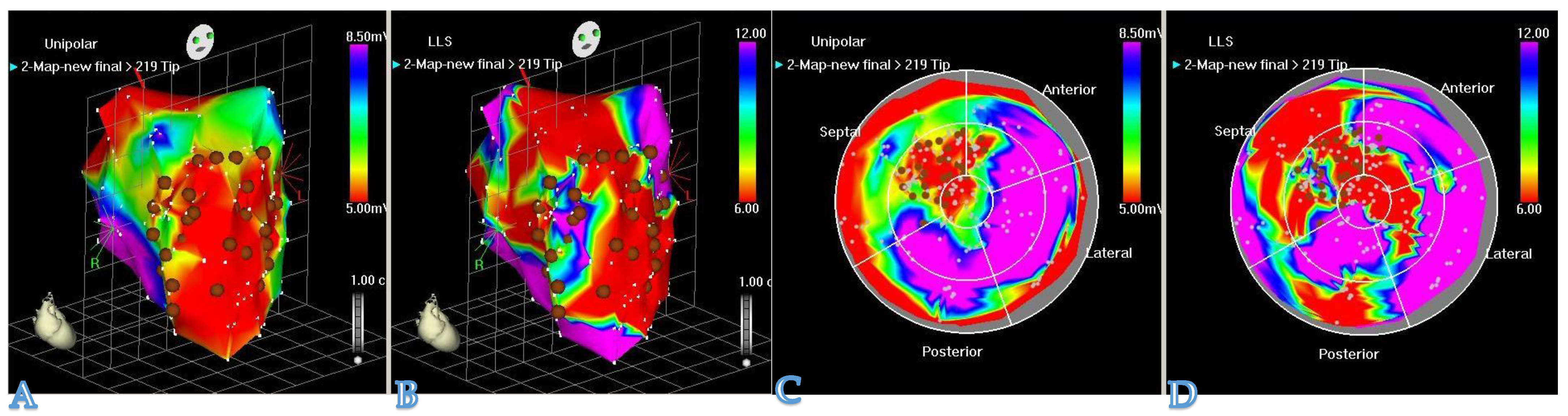 Biomedicines 09 00595 g003