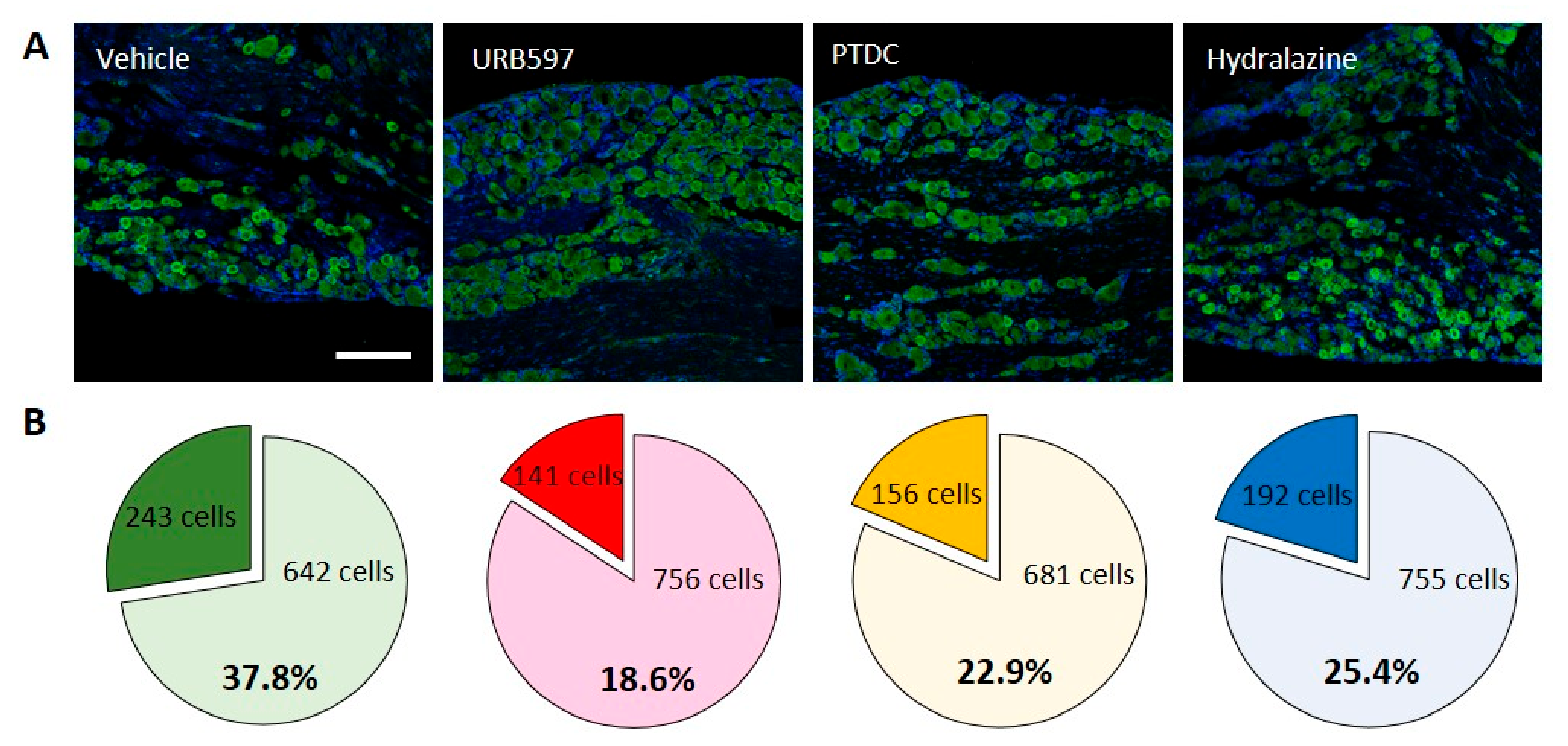 Biomedicines 09 00596 g002