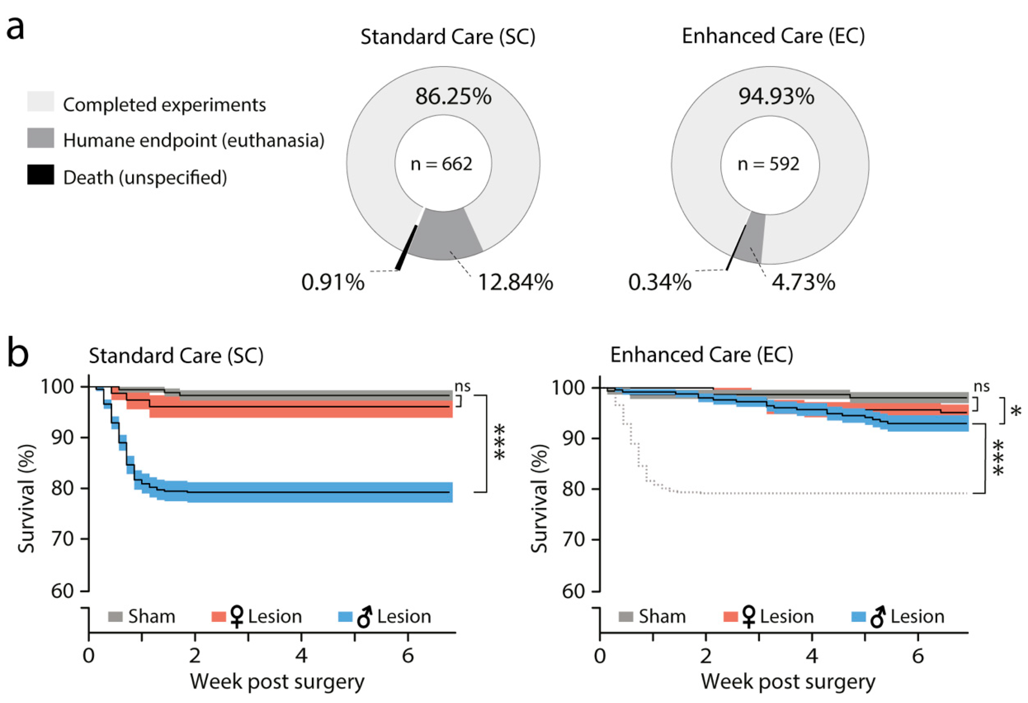 Biomedicines 09 00598 g003