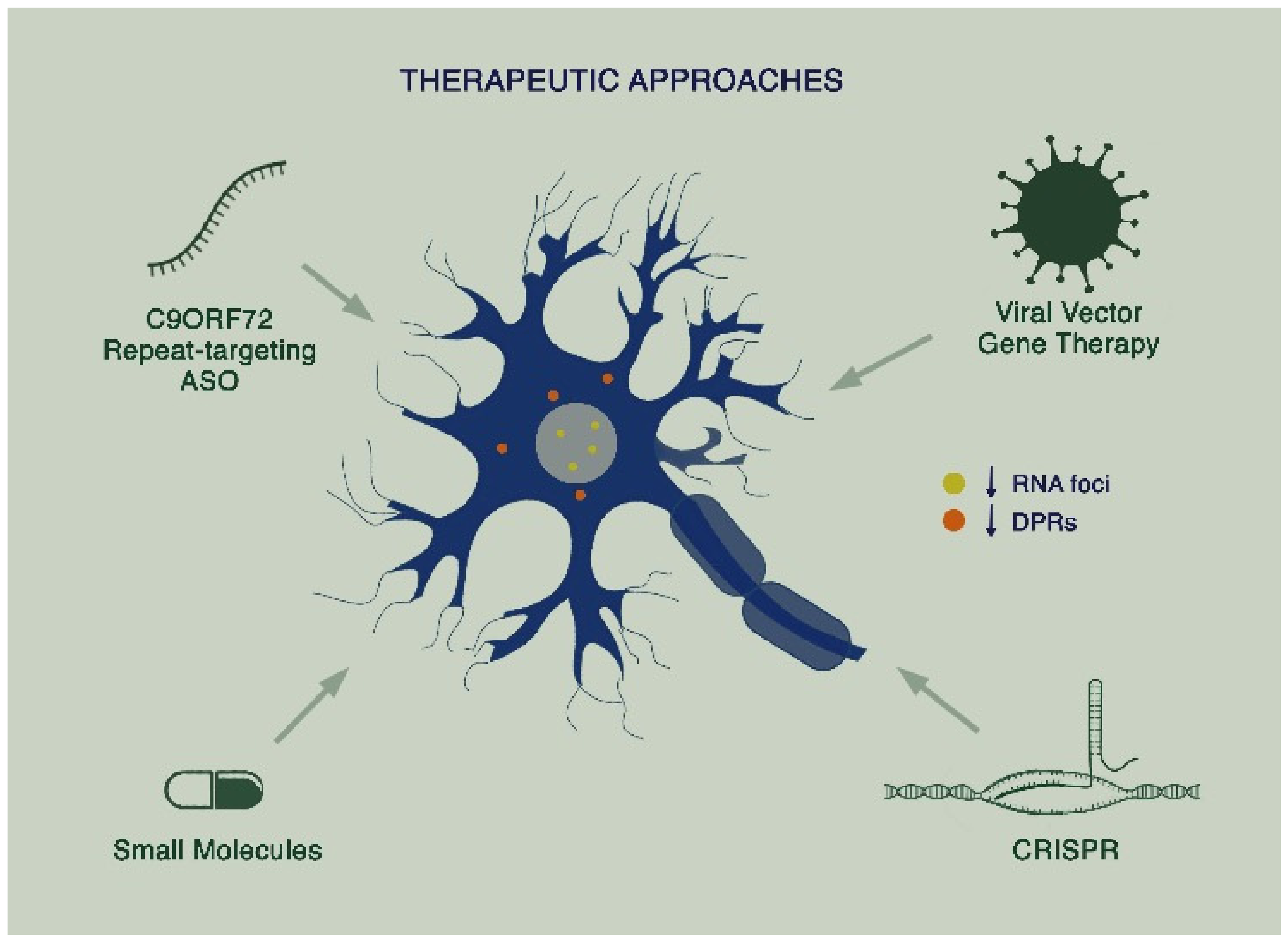 Biomedicines 09 00601 g002