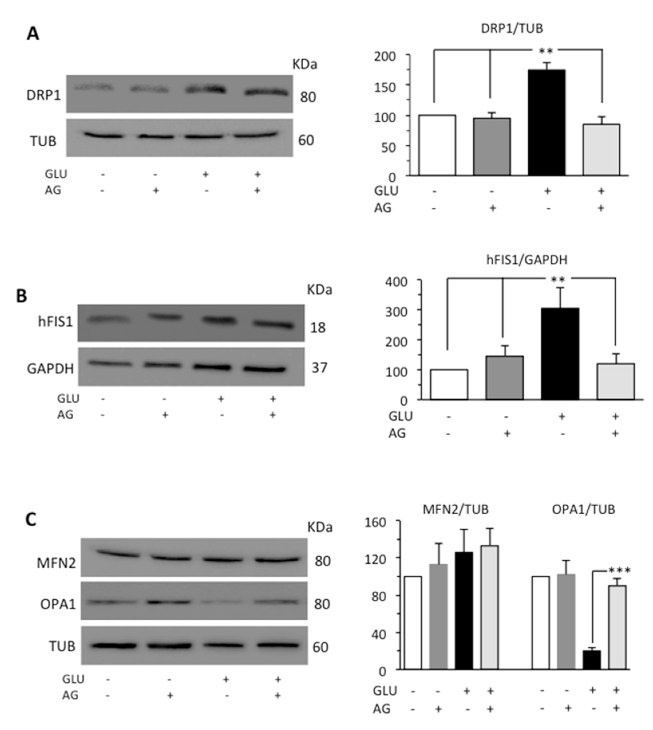 Biomedicines 09 00608 g004