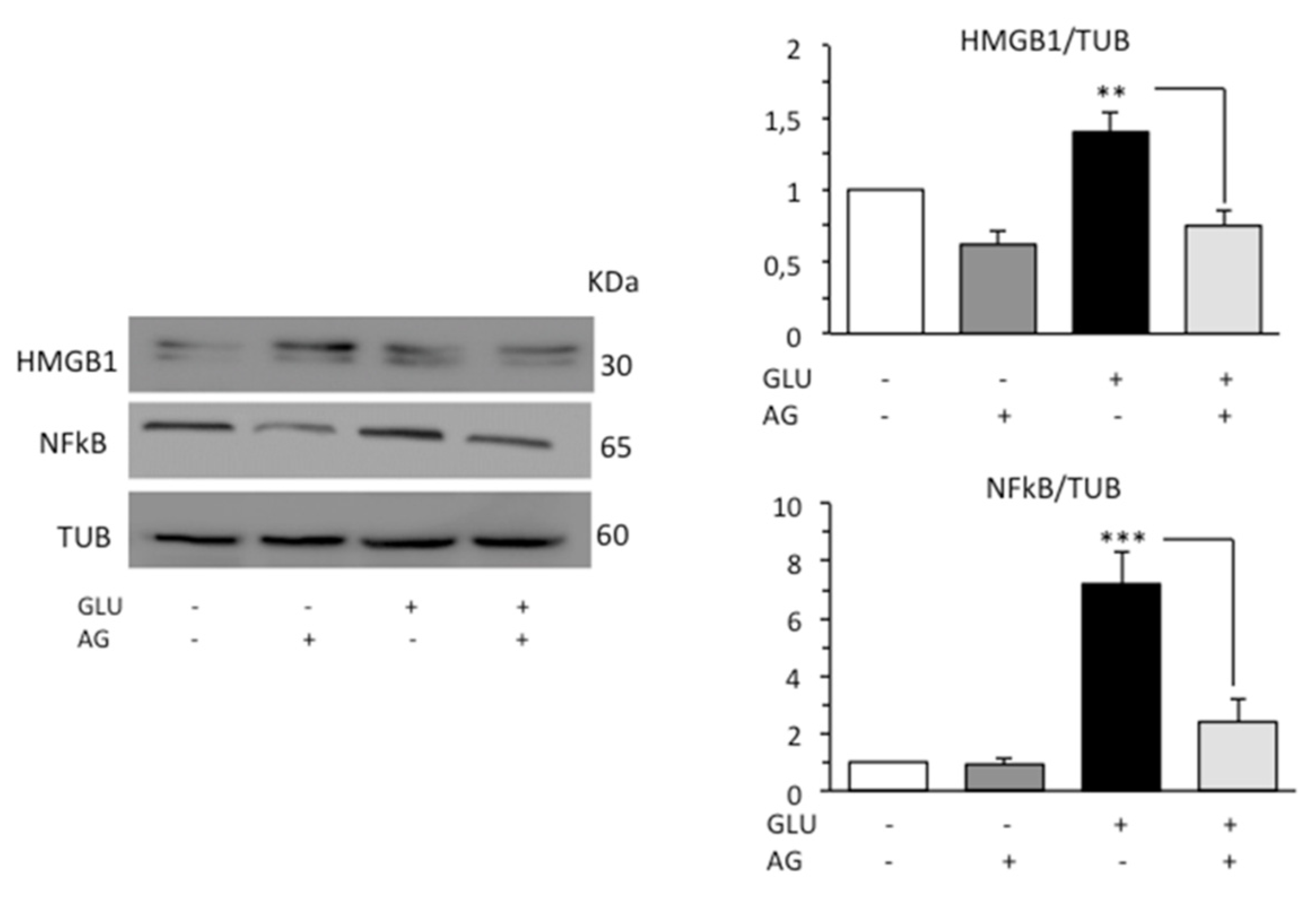 Biomedicines 09 00608 g005