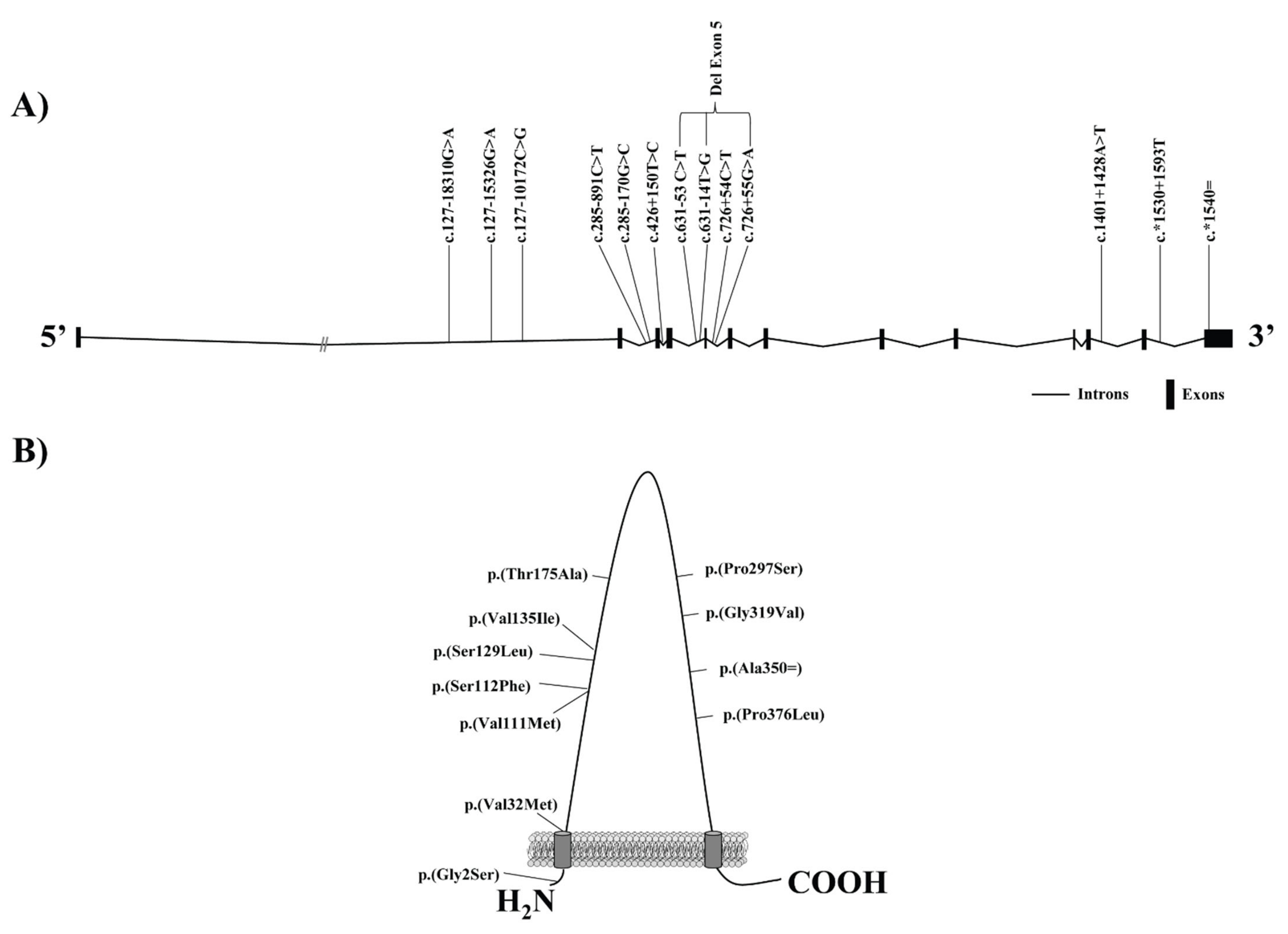 Biomedicines 09 00612 g002