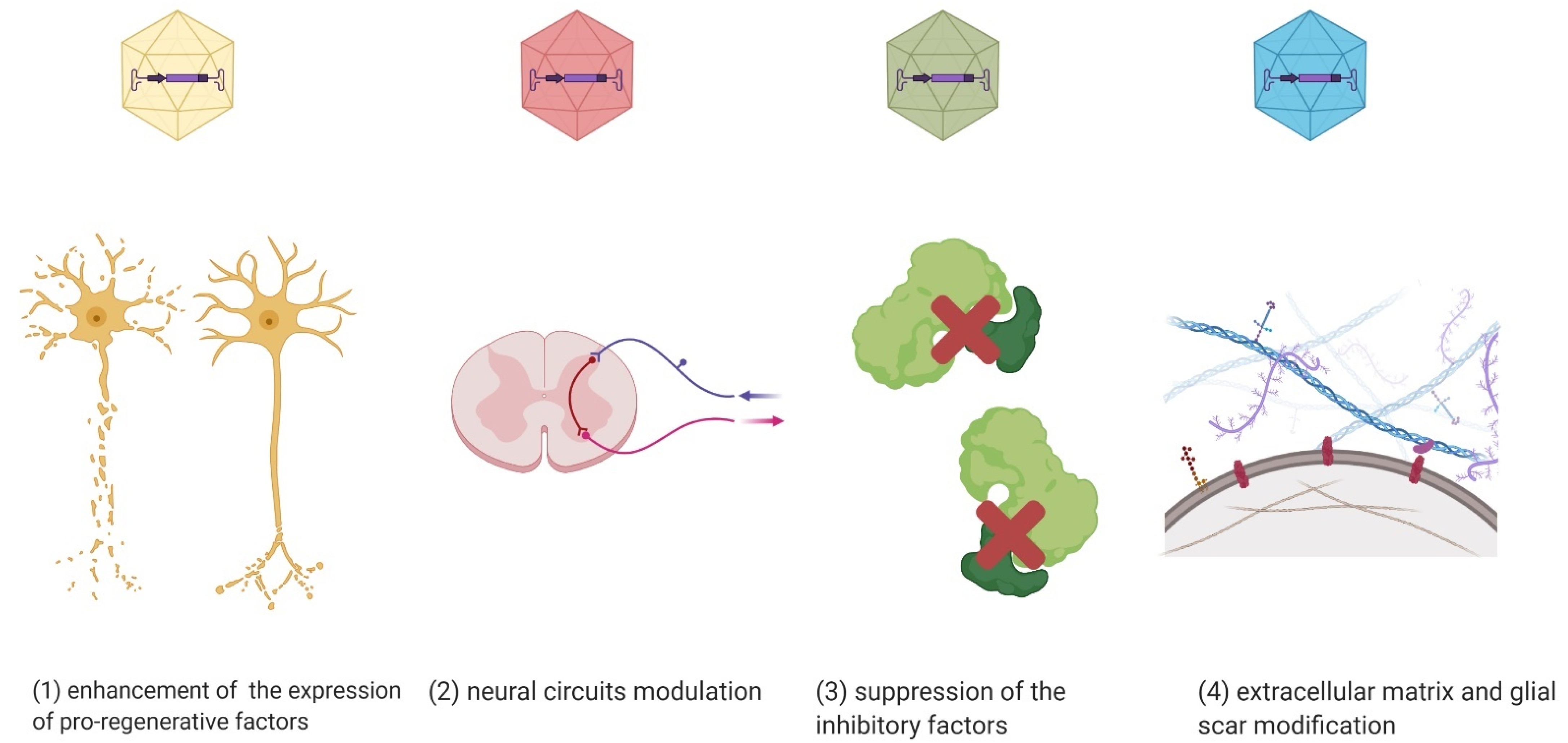 Biomedicines 09 00613 g002