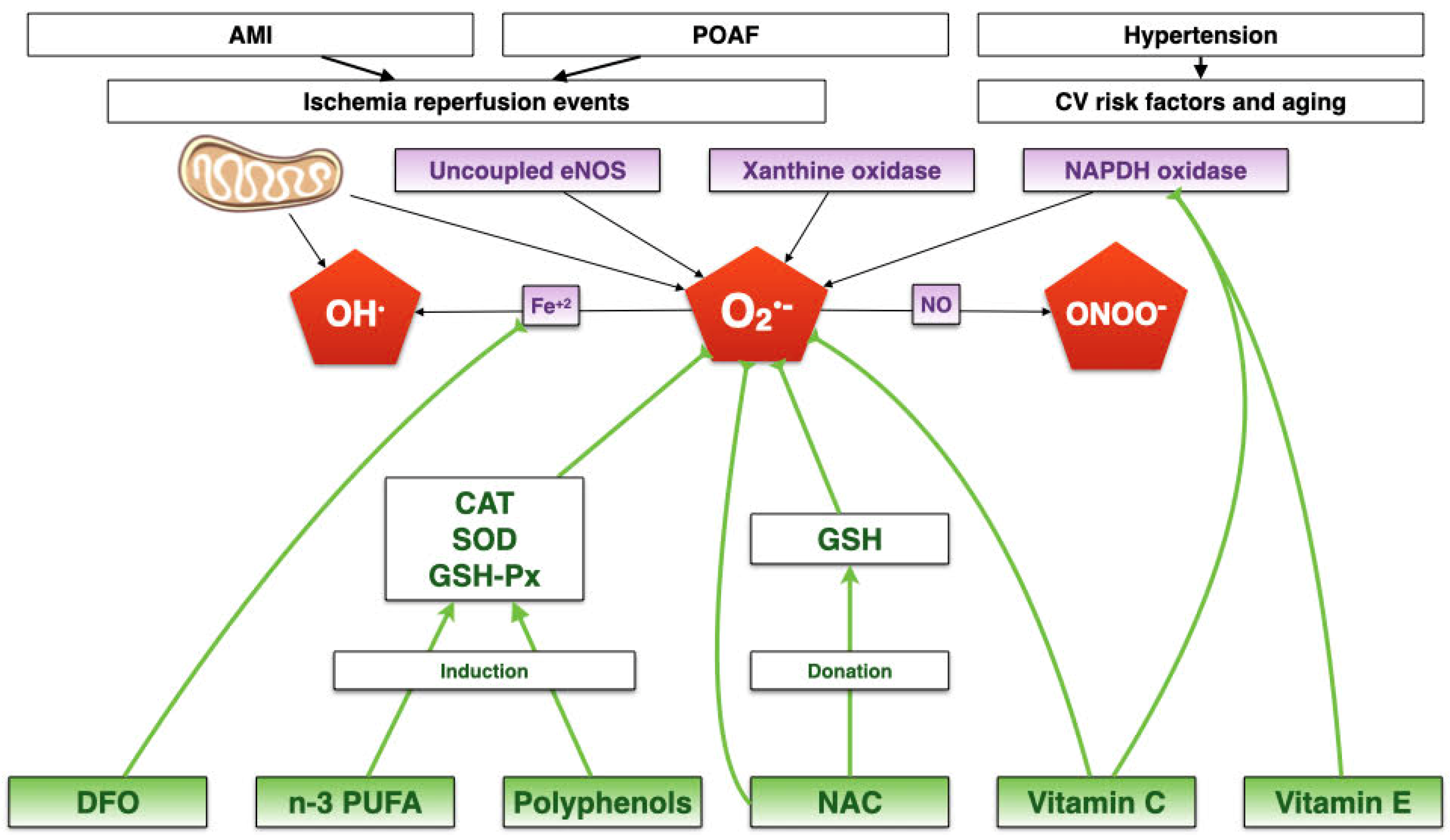 Biomedicines 09 00620 g001