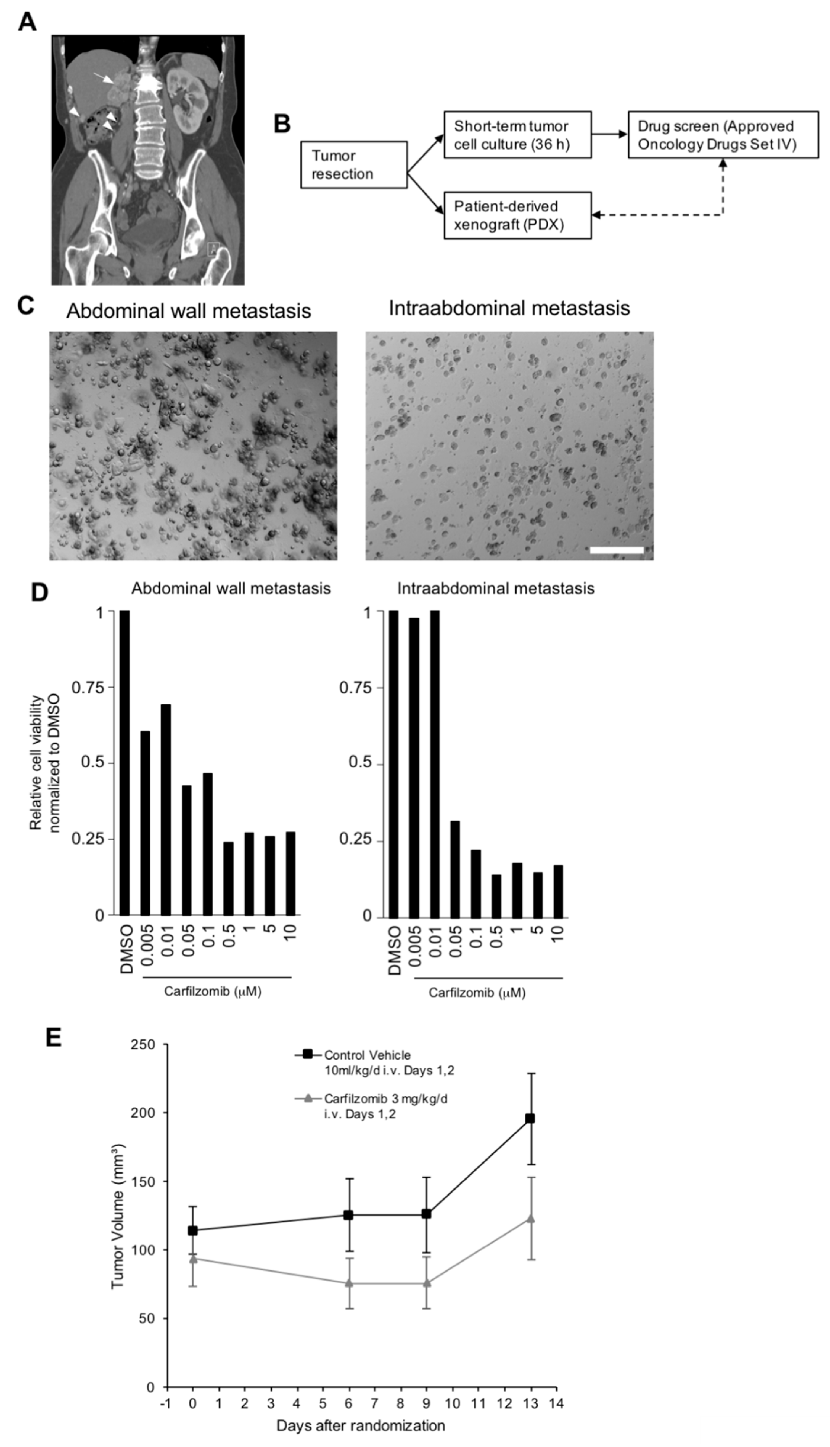 Biomedicines 09 00627 g001 Biomedicines 09 00627 g001