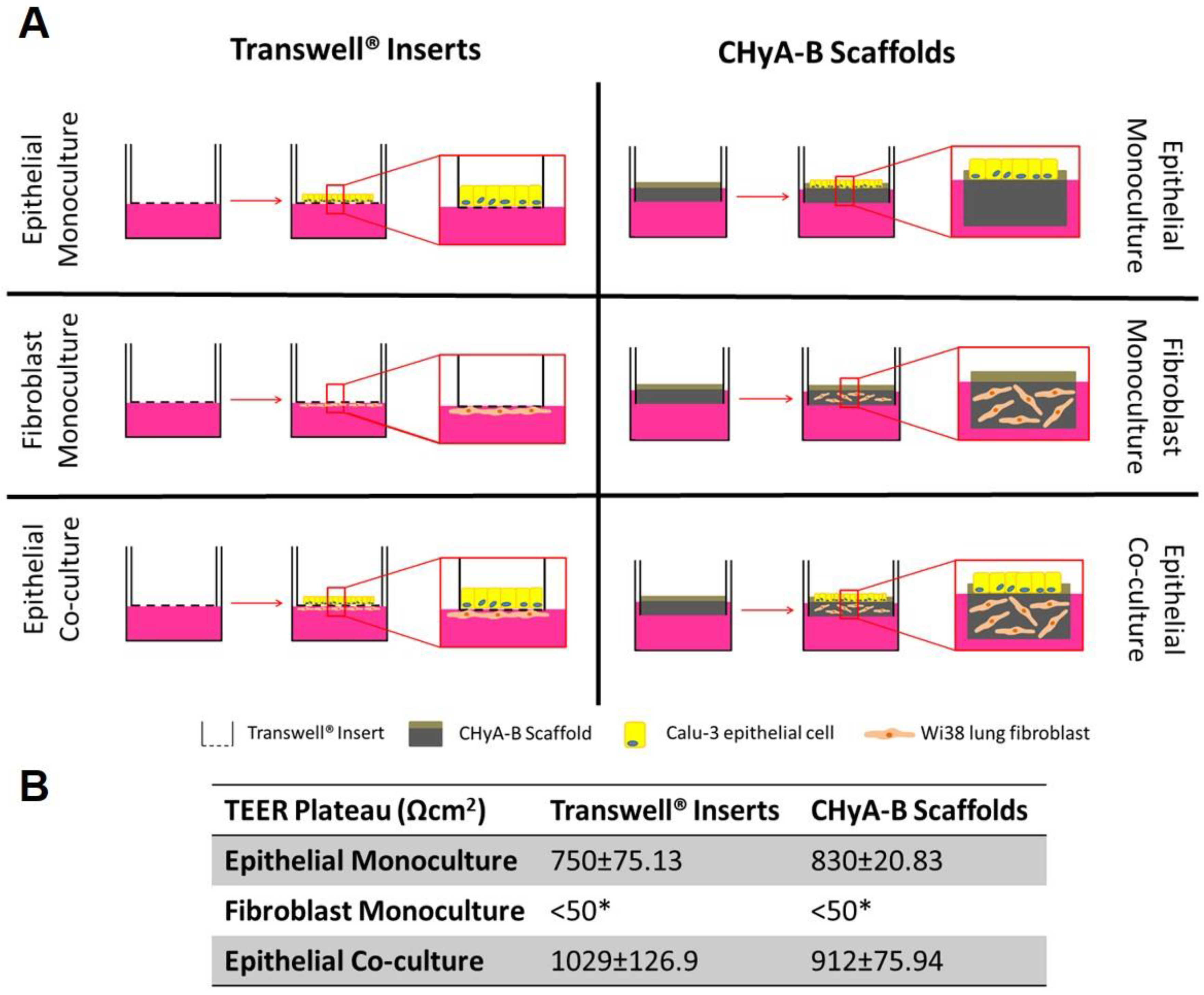 Biomedicines 09 00631 g001