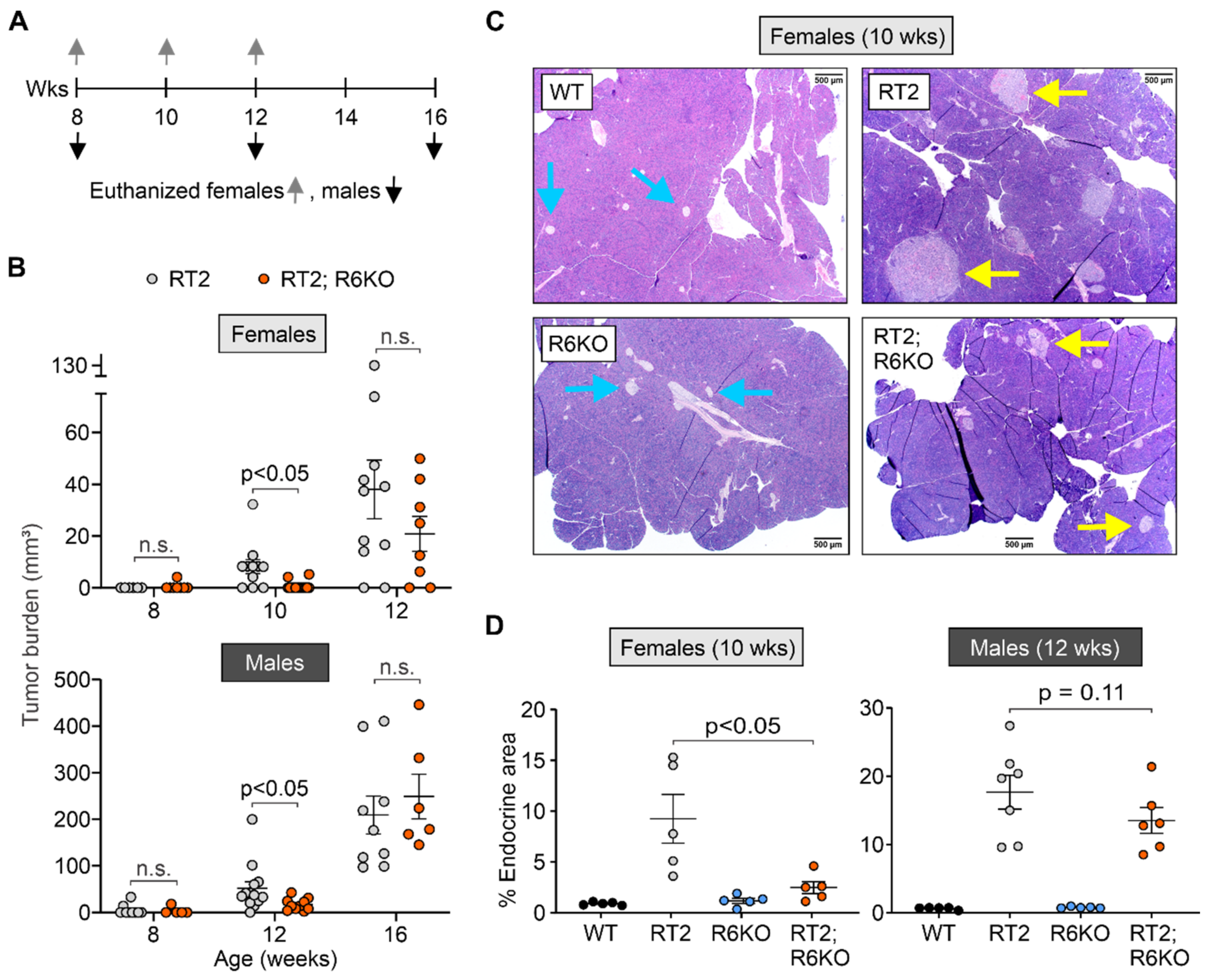 Biomedicines 09 00633 g003 Biomedicines 09 00633 g003