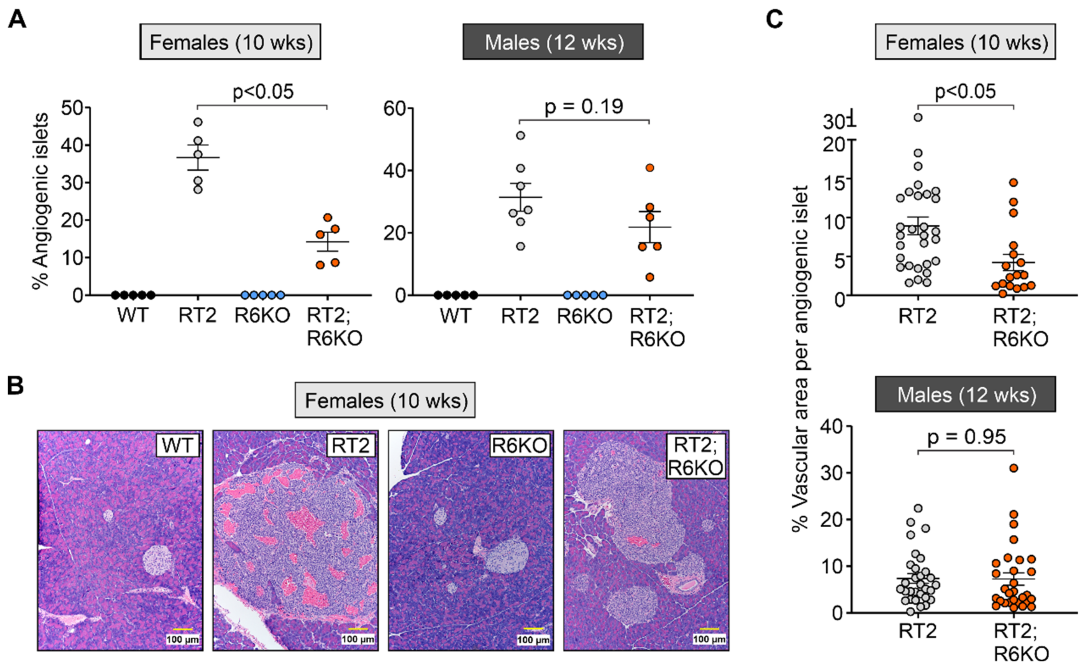 Biomedicines 09 00633 g004 Biomedicines 09 00633 g004