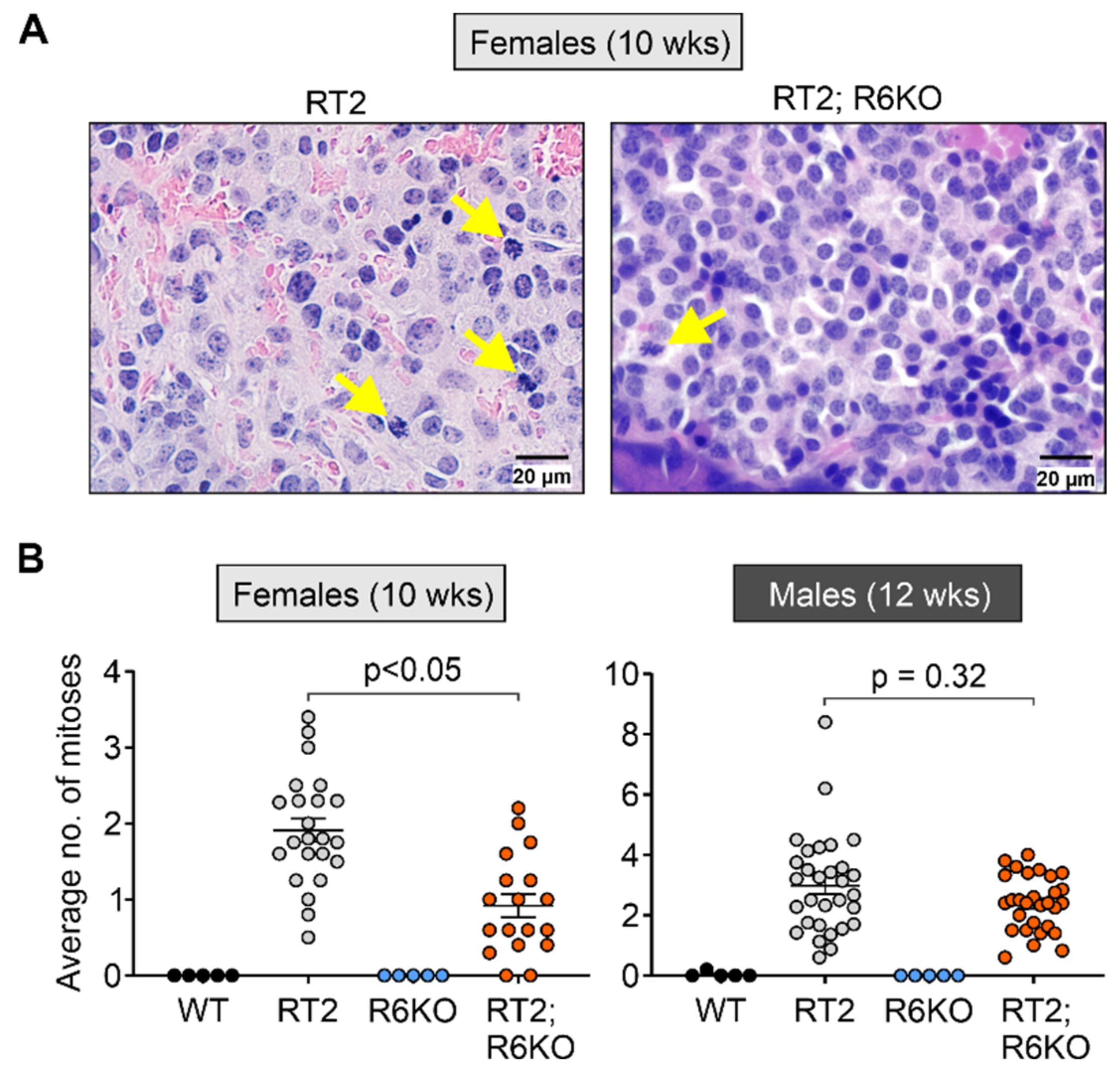 Biomedicines 09 00633 g005 Biomedicines 09 00633 g005