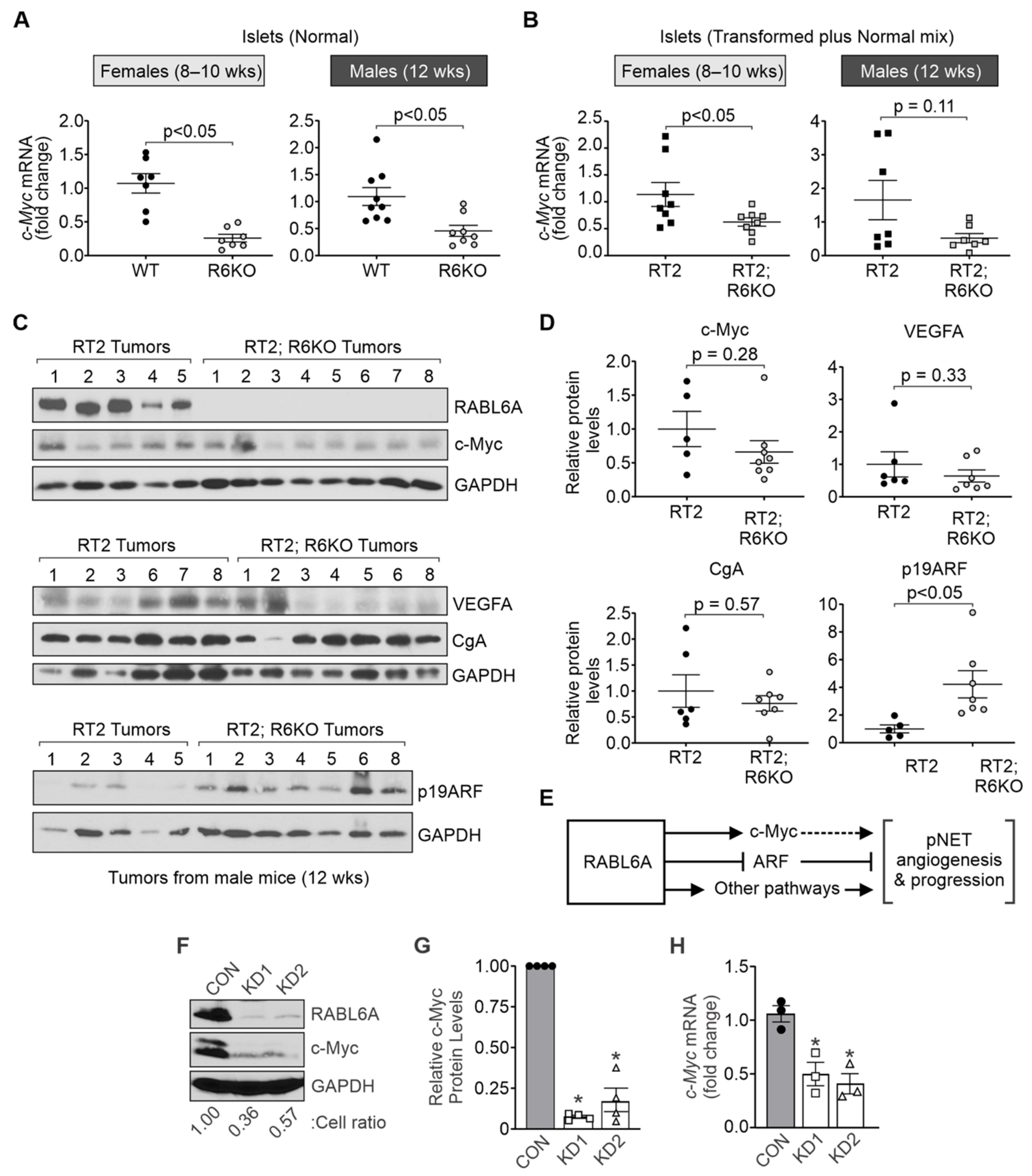Biomedicines 09 00633 g006 Biomedicines 09 00633 g006