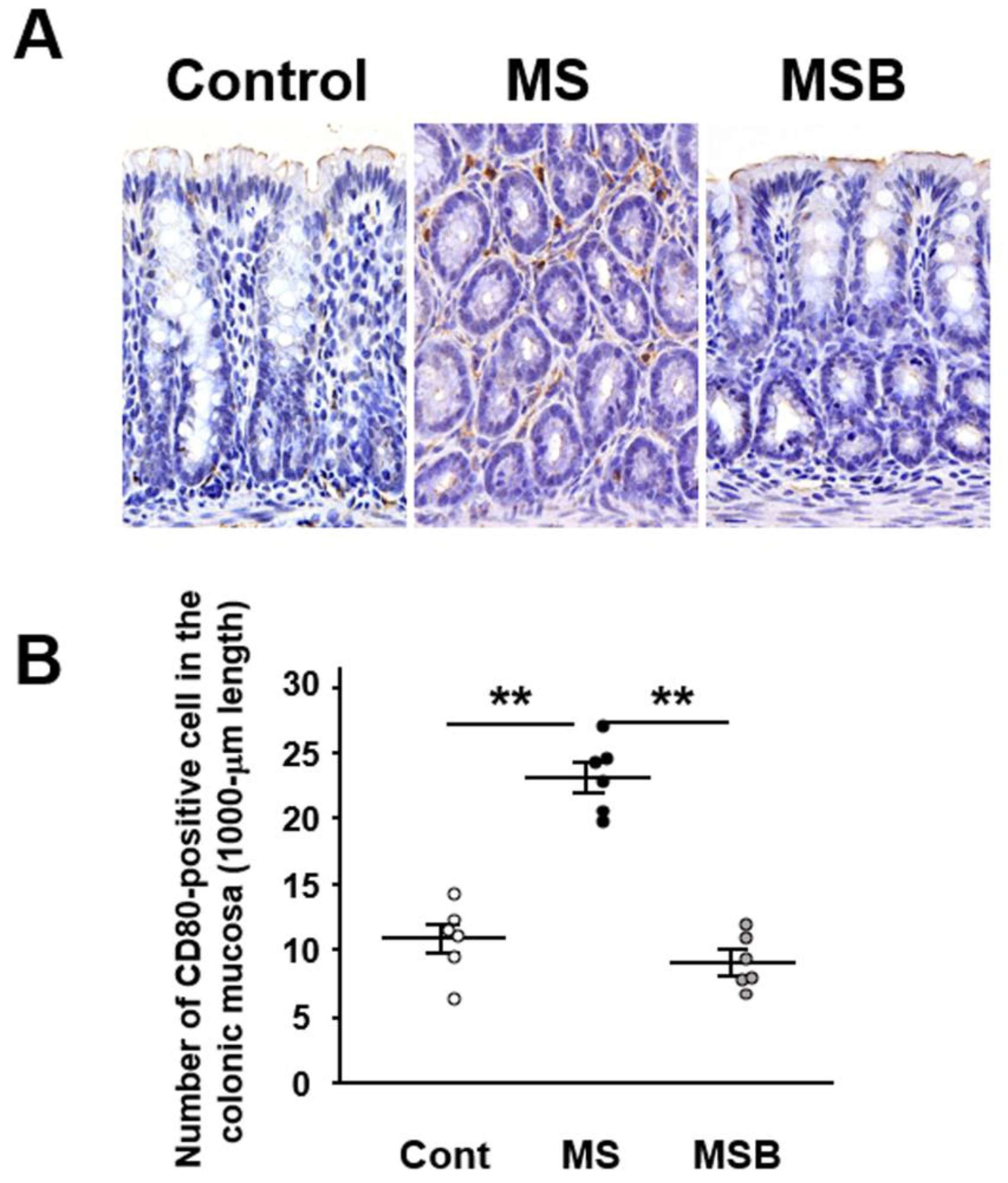 Biomedicines 09 00641 g004