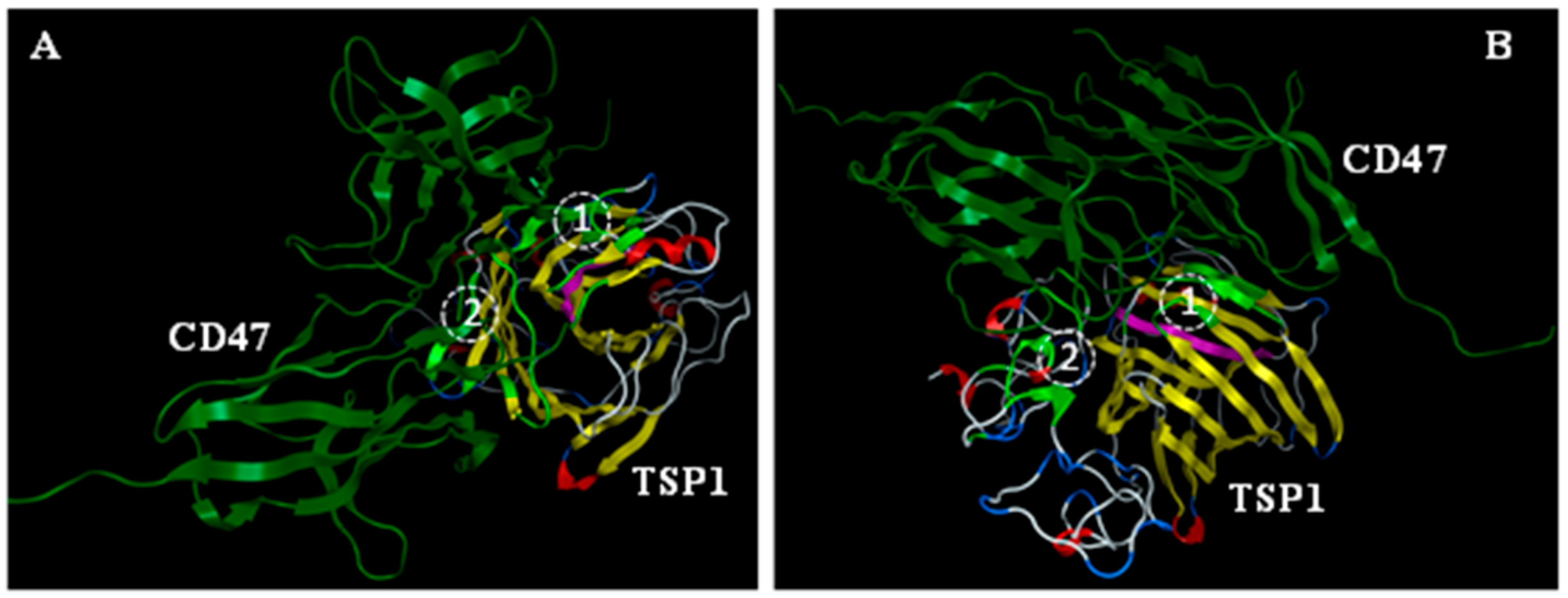 Biomedicines 09 00642 g001
