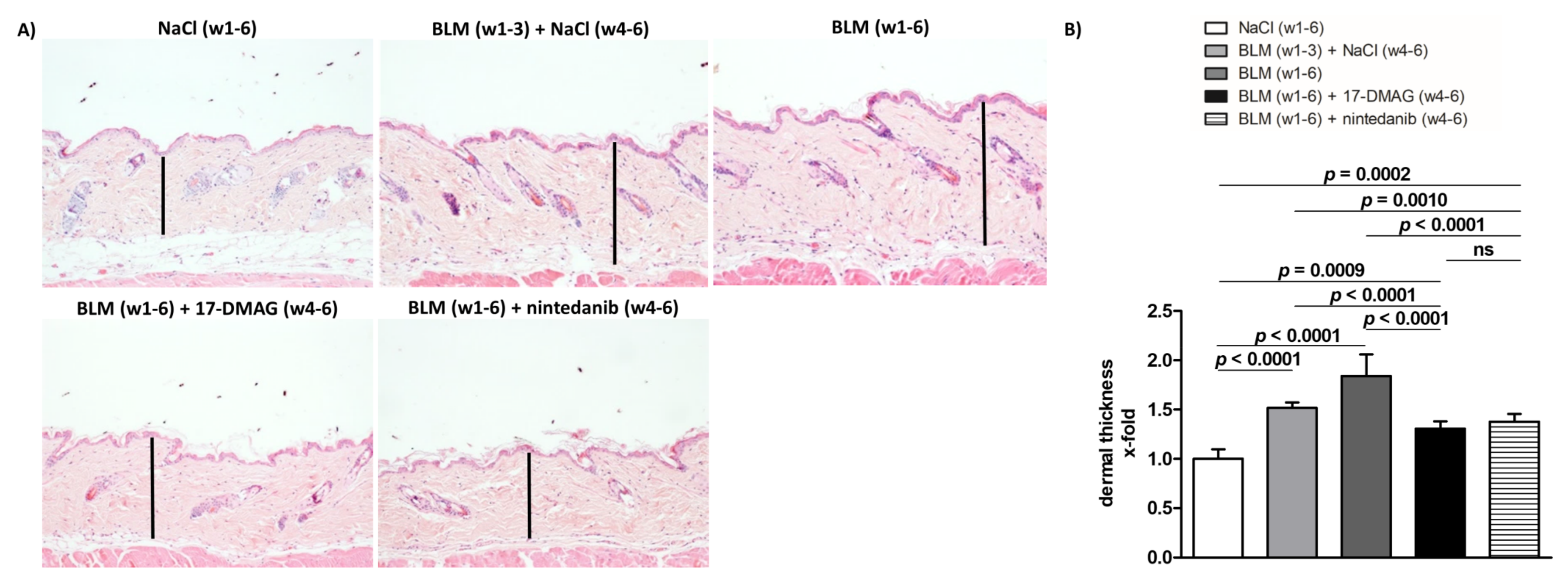 Biomedicines 09 00650 g002
