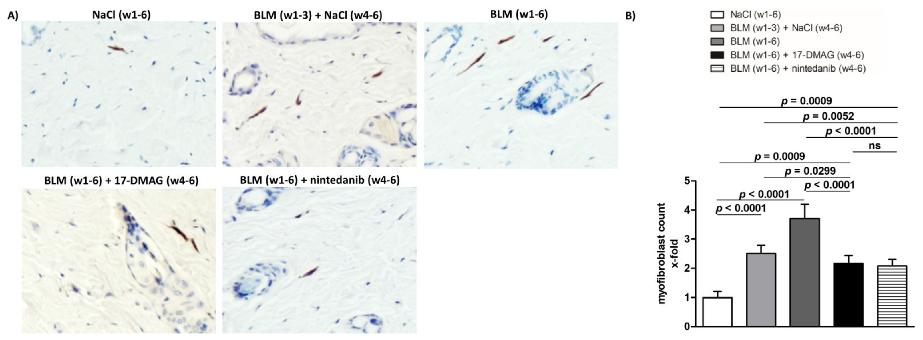 Biomedicines 09 00650 g004