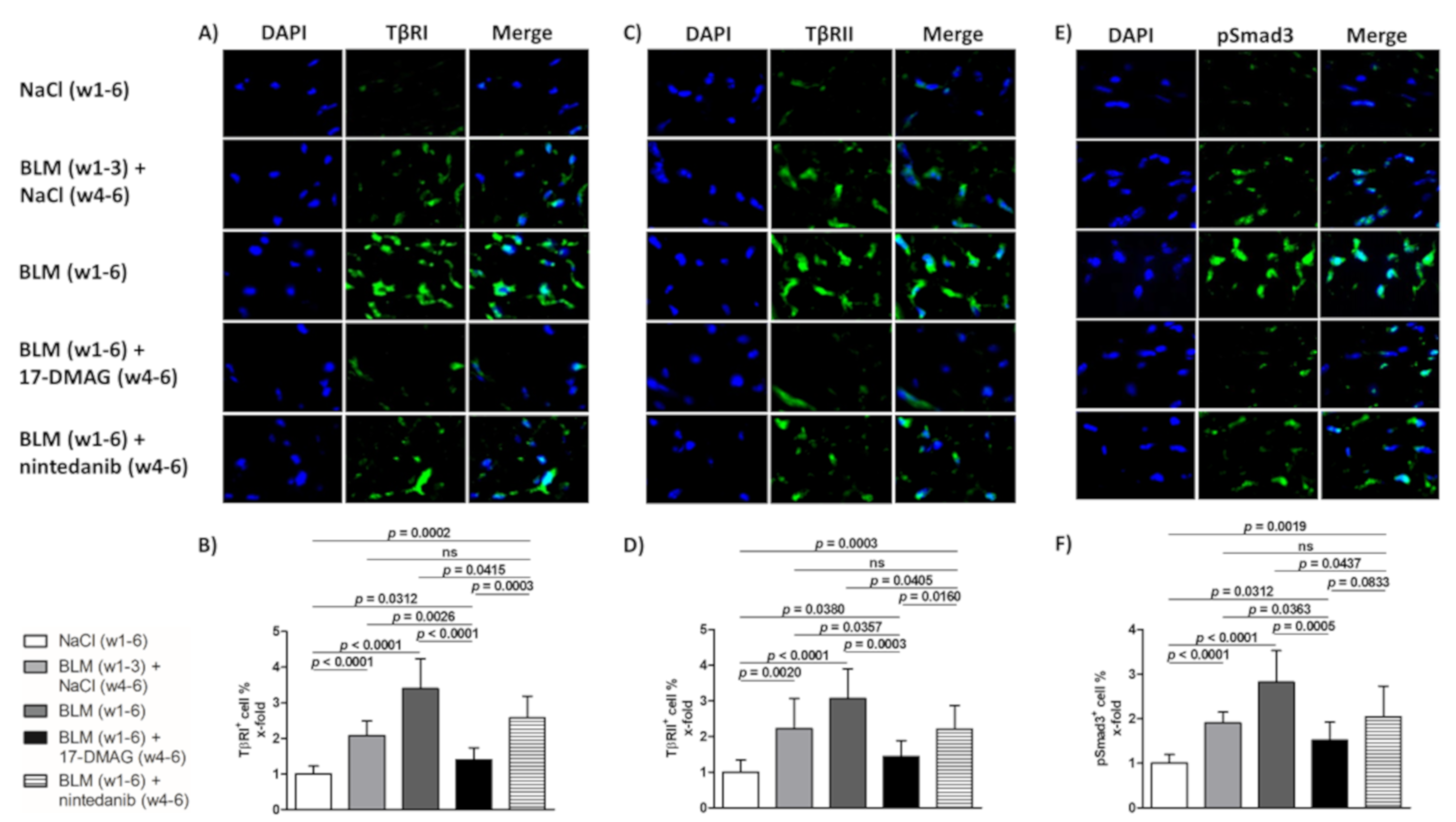 Biomedicines 09 00650 g005