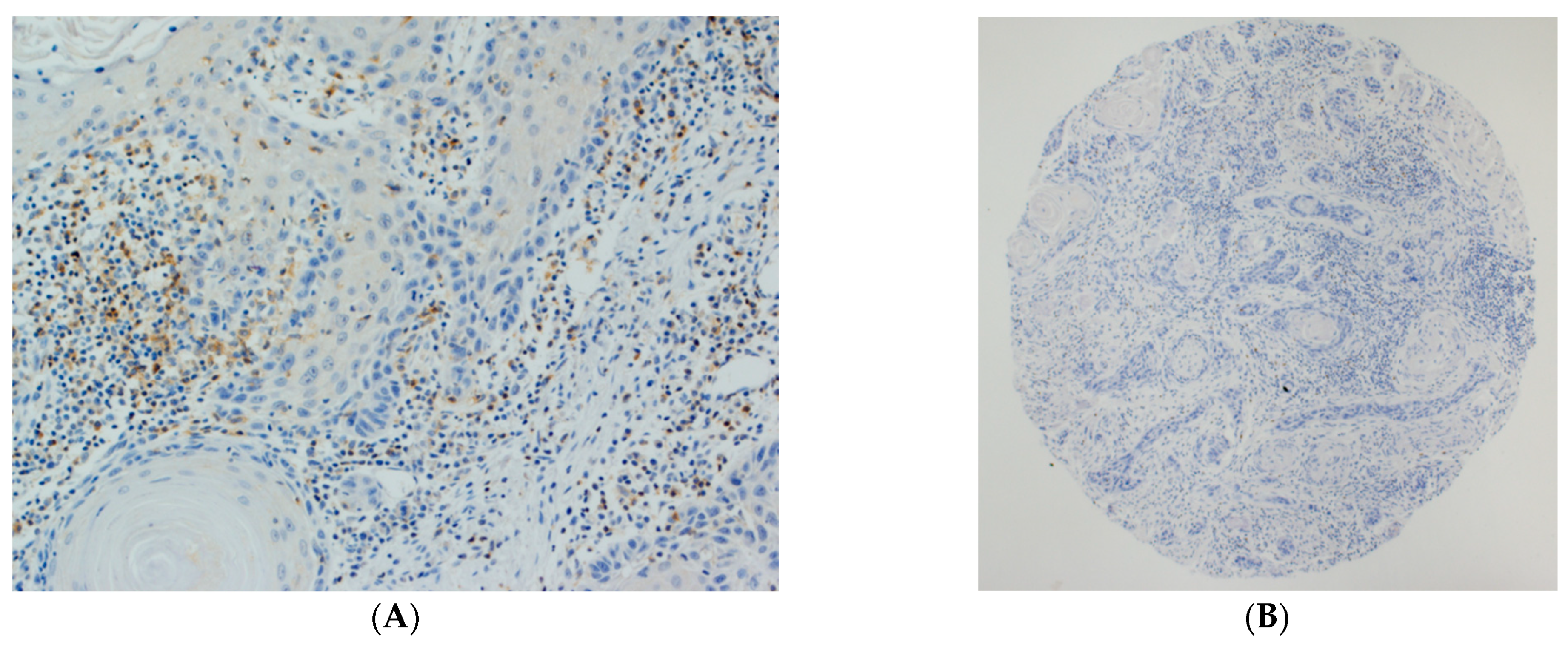 Biomedicines 09 00653 g001a Biomedicines 09 00653 g001a