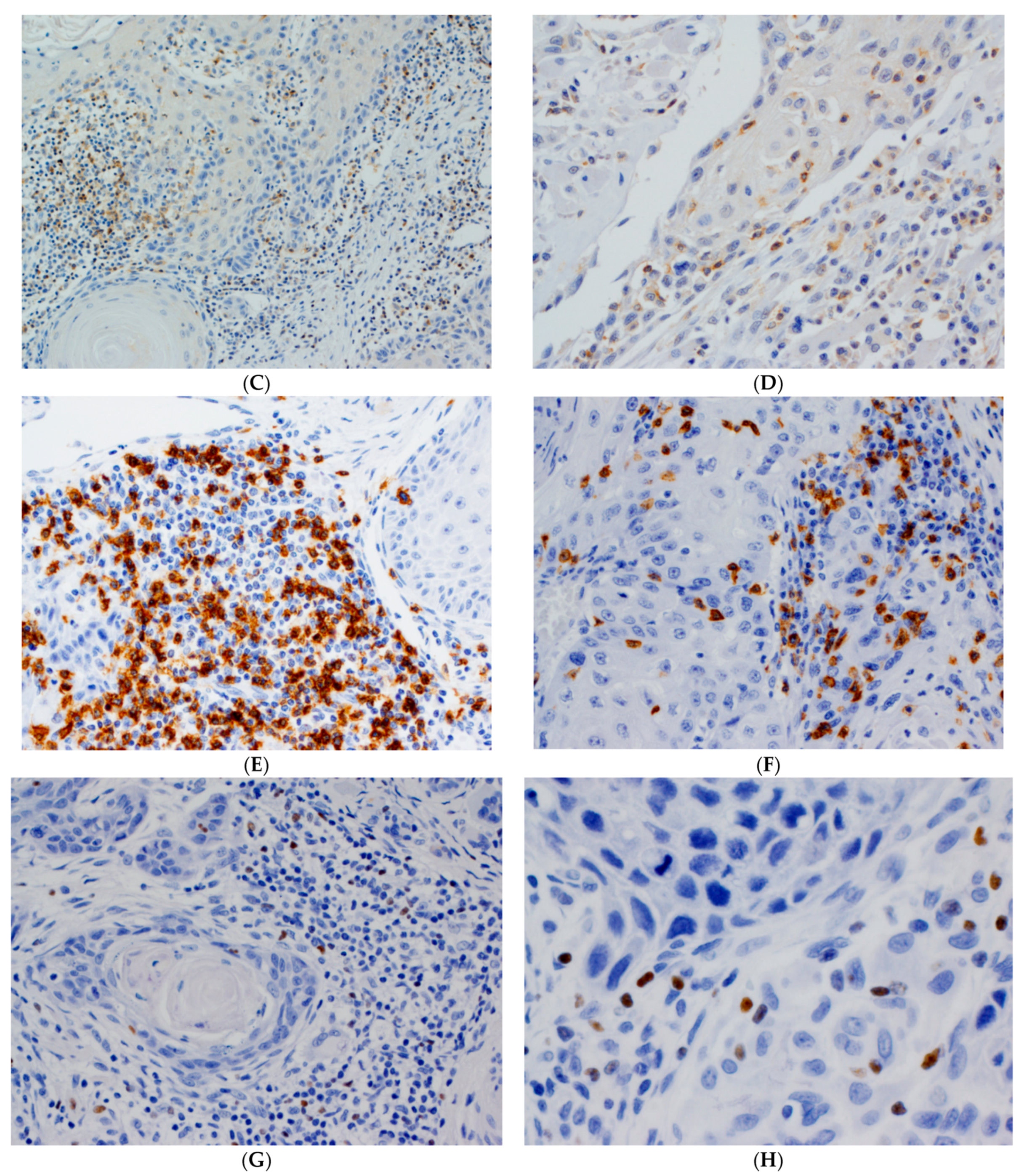 Biomedicines 09 00653 g001b Biomedicines 09 00653 g001b