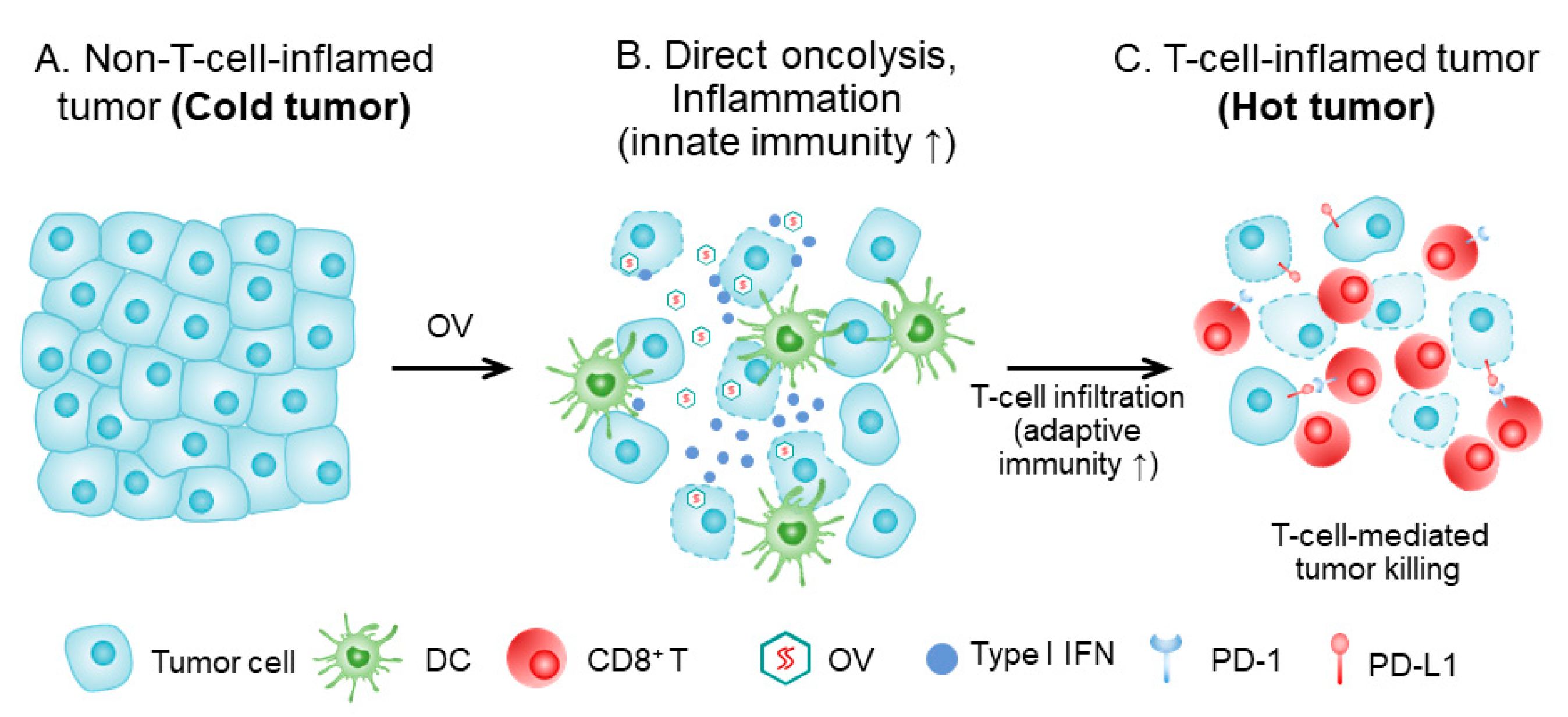 Biomedicines 09 00663 g001