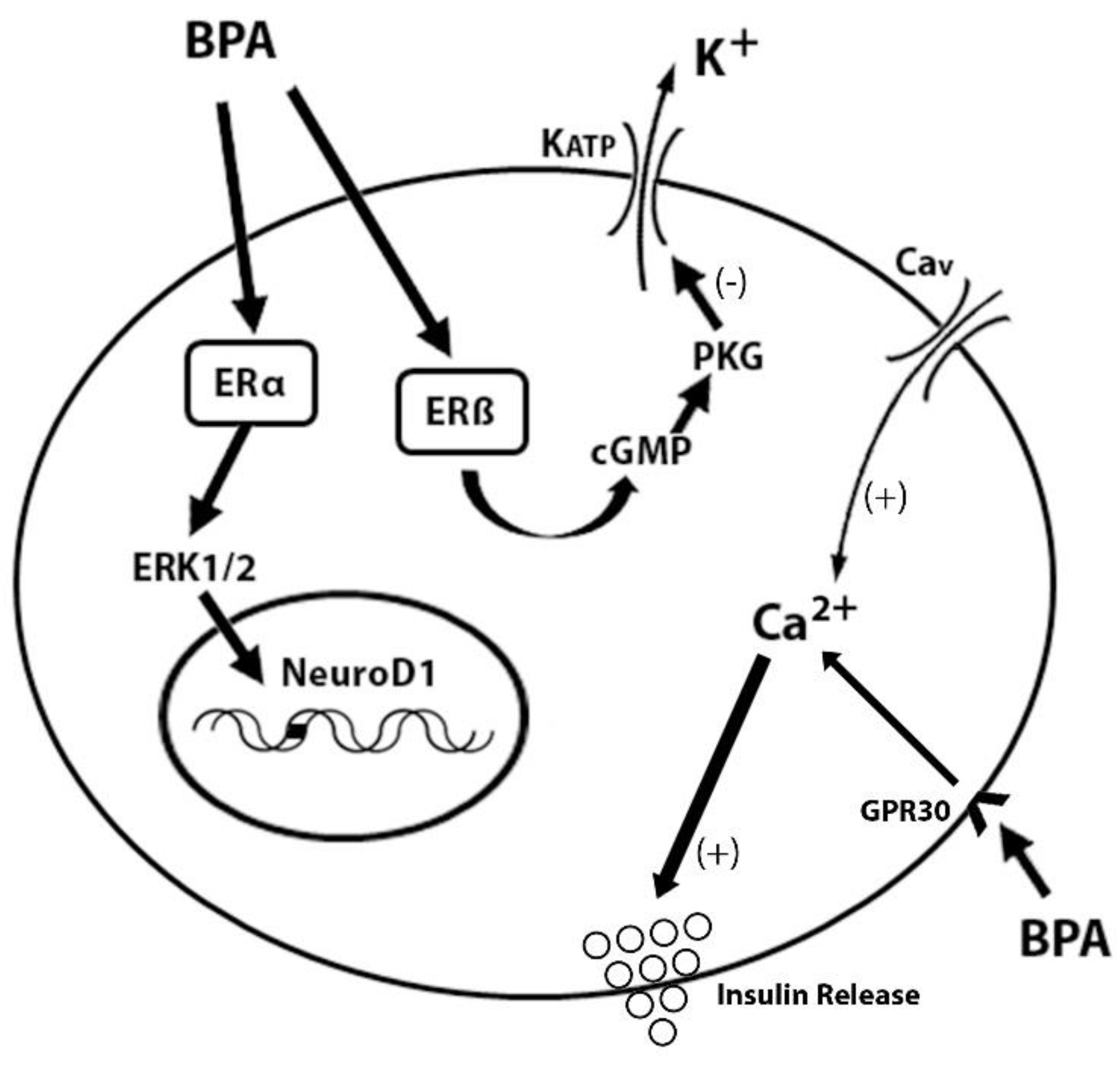 Biomedicines 09 00666 g002