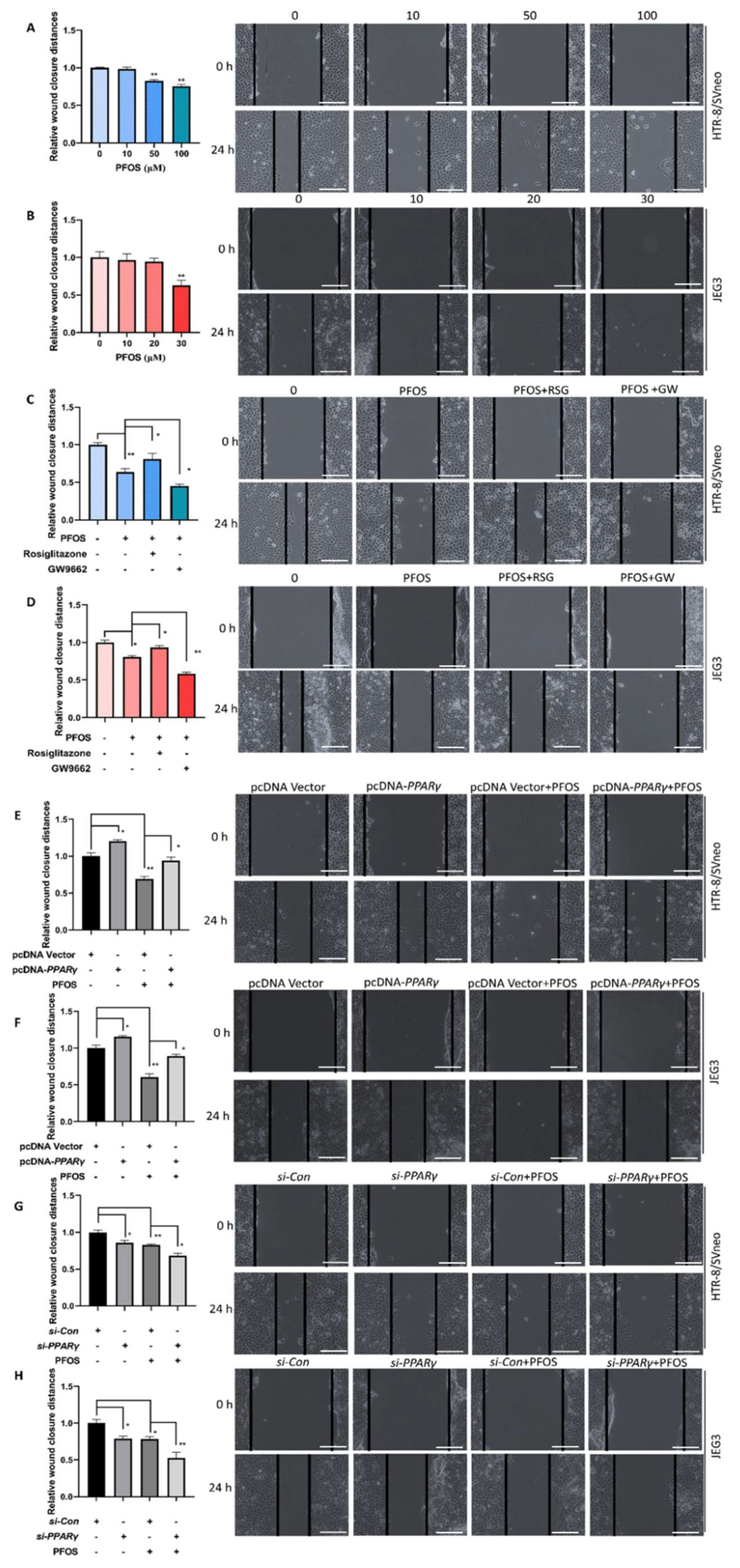 Biomedicines 09 00677 g002