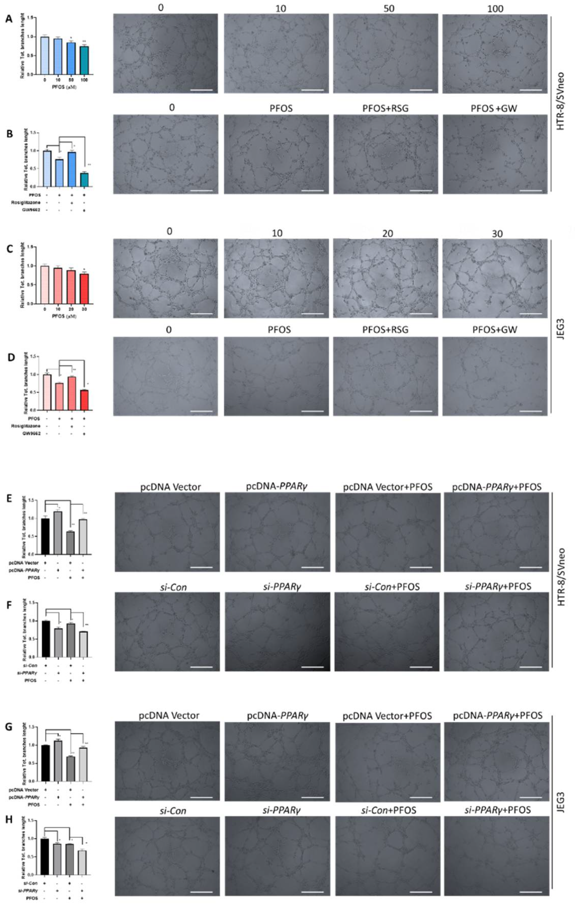 Biomedicines 09 00677 g003