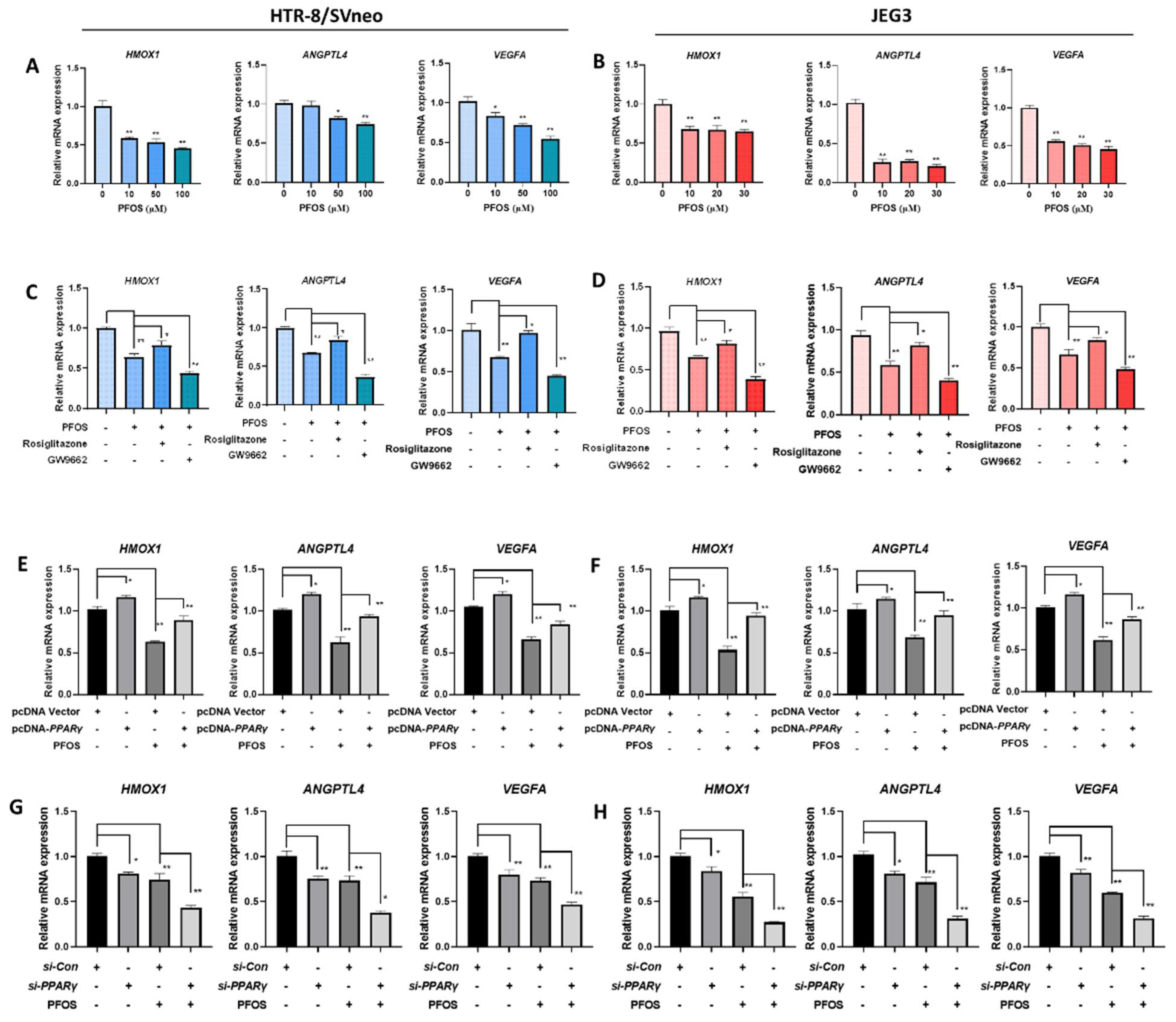 Biomedicines 09 00677 g004