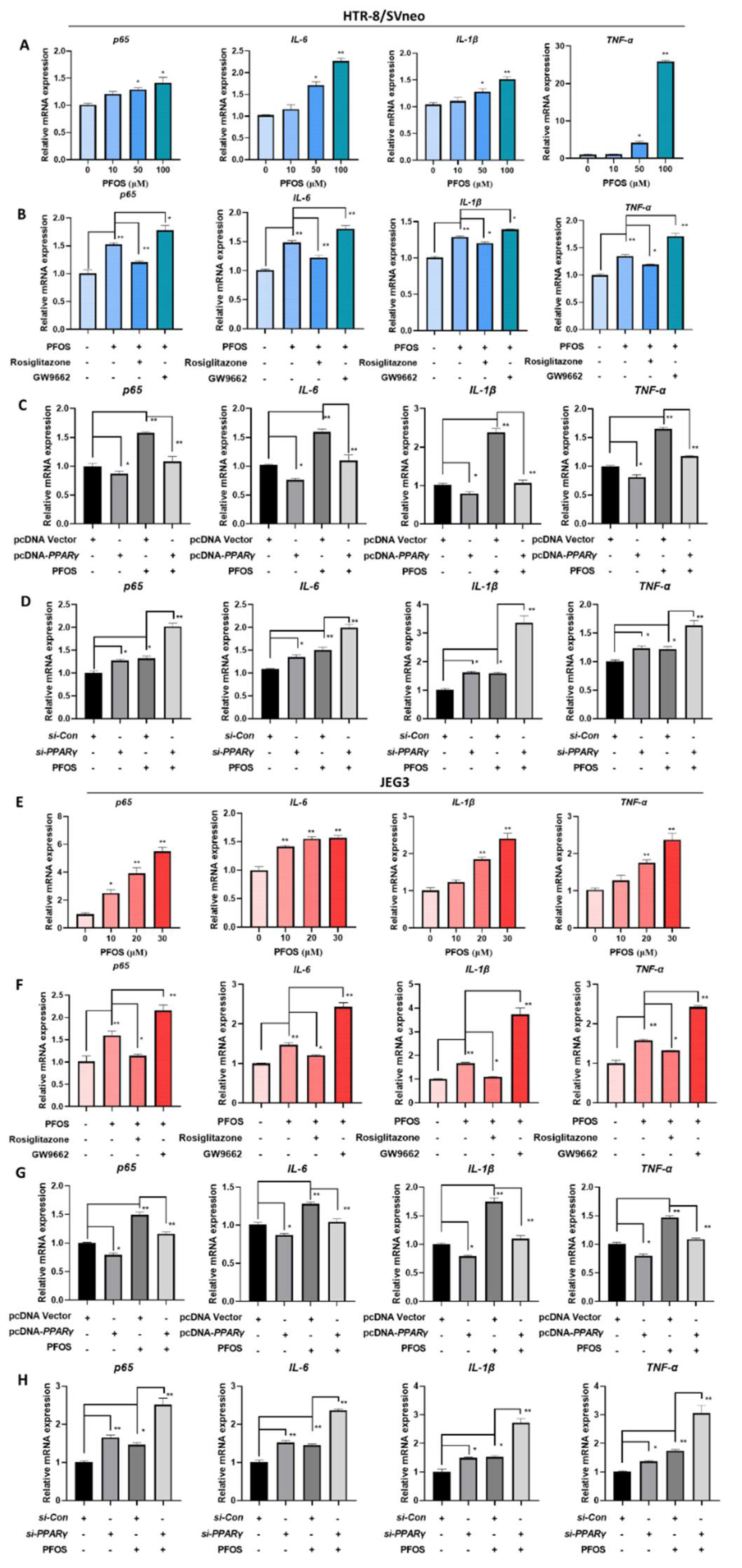 Biomedicines 09 00677 g006