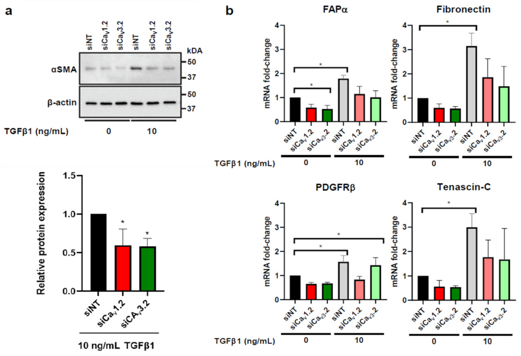 Biomedicines 09 00680 g004